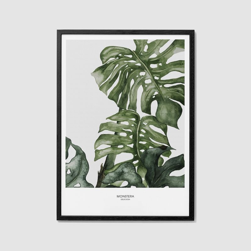 BOTANICAL - 017