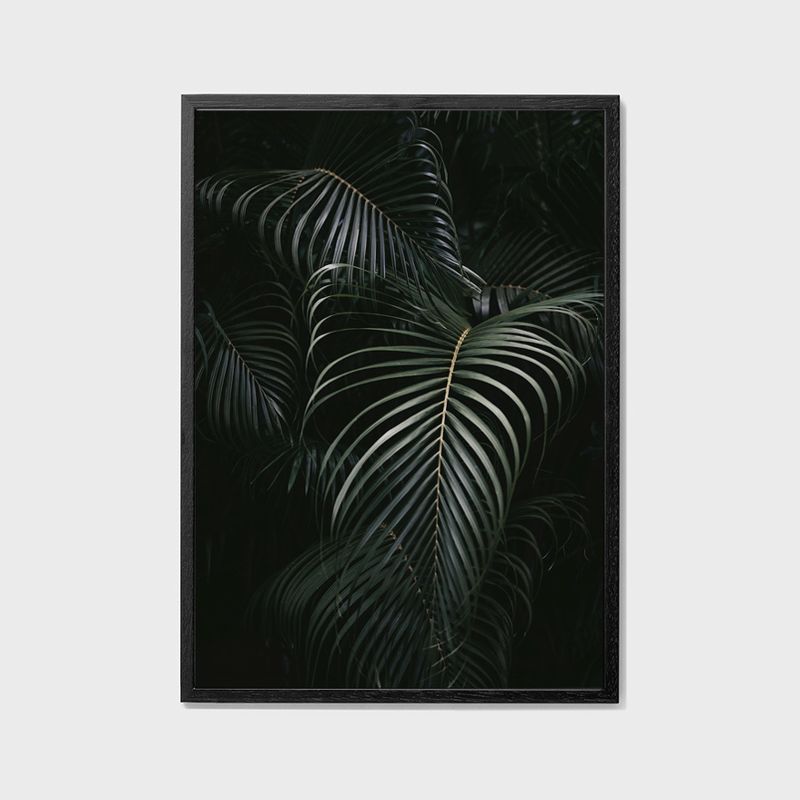 BOTANICAL - 023