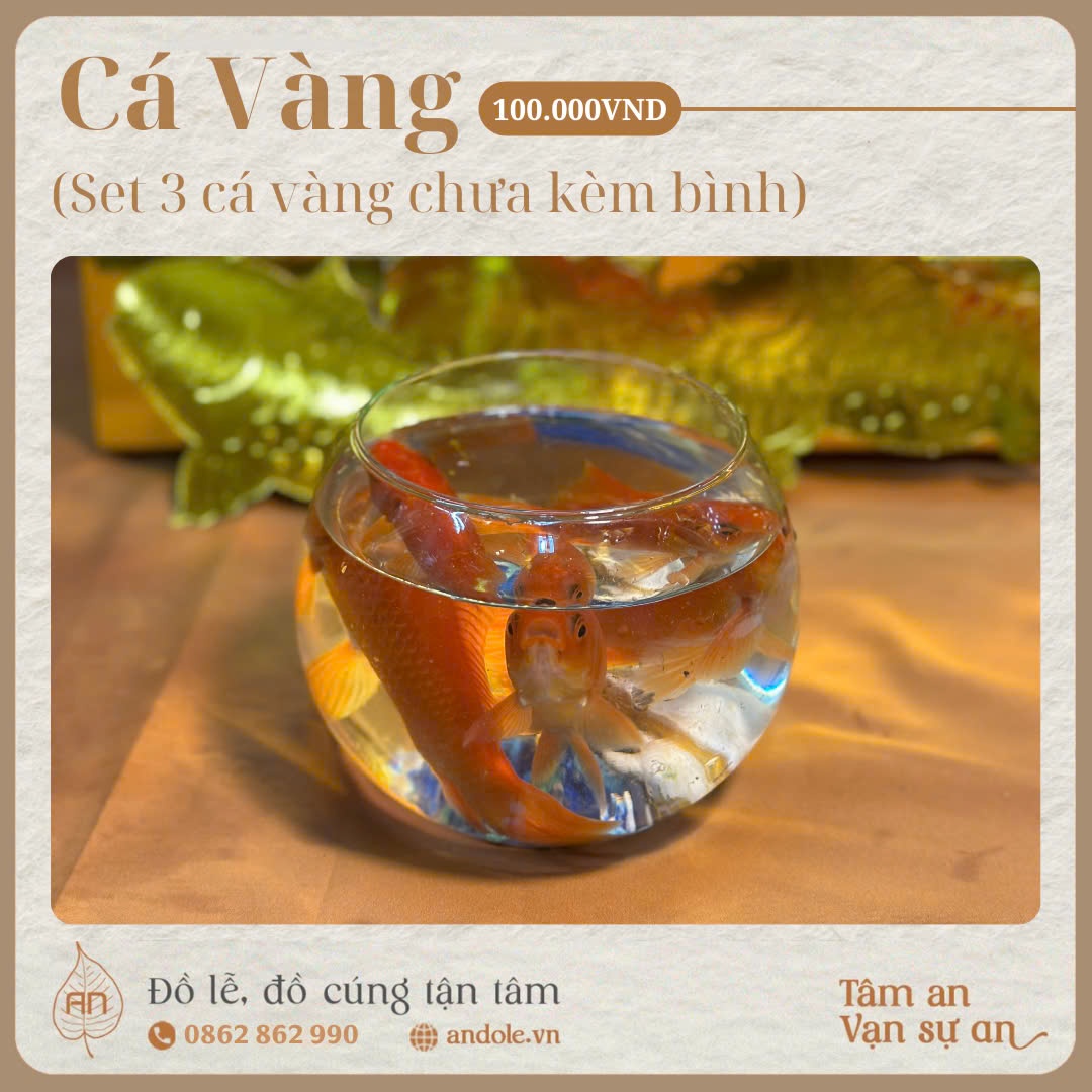 Set 3 Con Cá Vàng Cúng Ông Công Ông Táo | Lễ Vật Tâm Linh Đặc Biệt