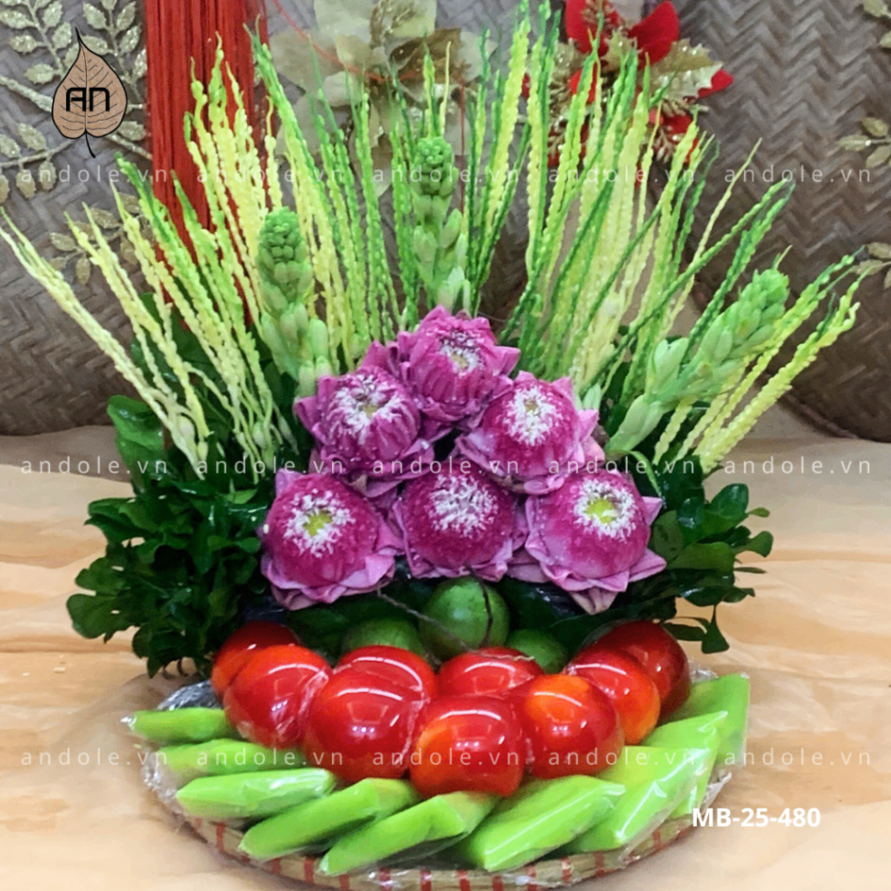 Mẹt bánh xu xê mẫu 48