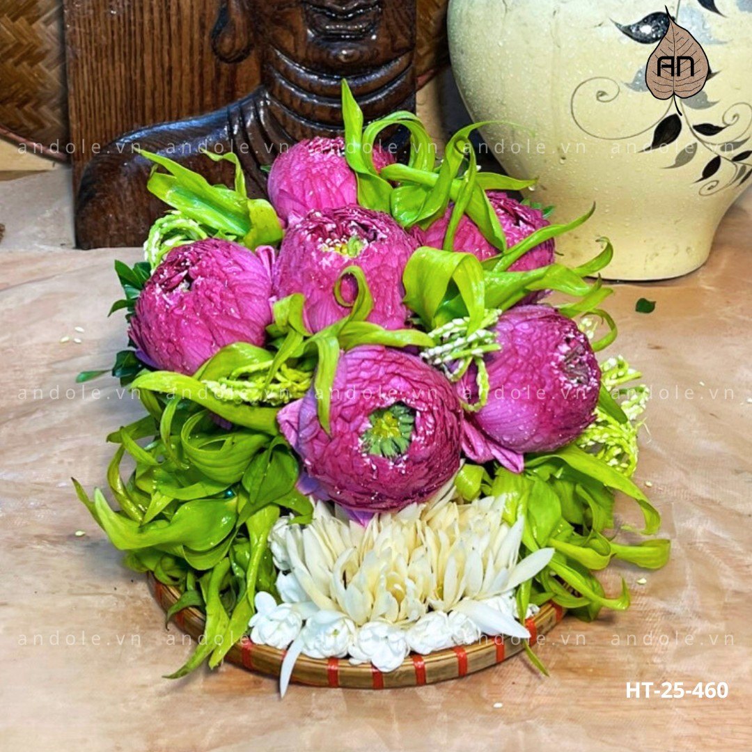 Mẹt Hoa Trầu Size 20cm Mẫu 23