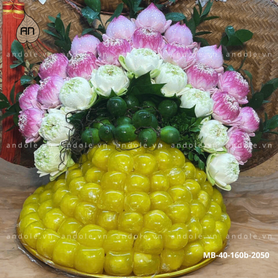 Mẹt bánh xu xê mẫu 72
