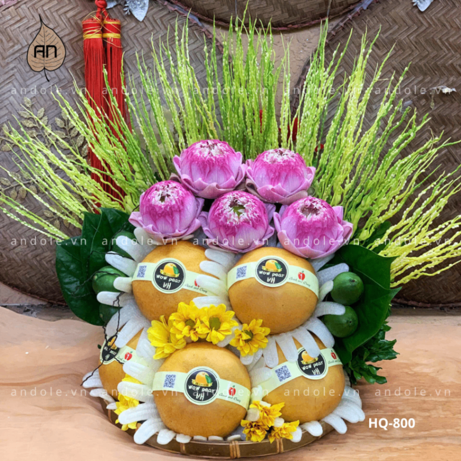 Mẹt Hoa Quả Size 30cm - Mẫu 66