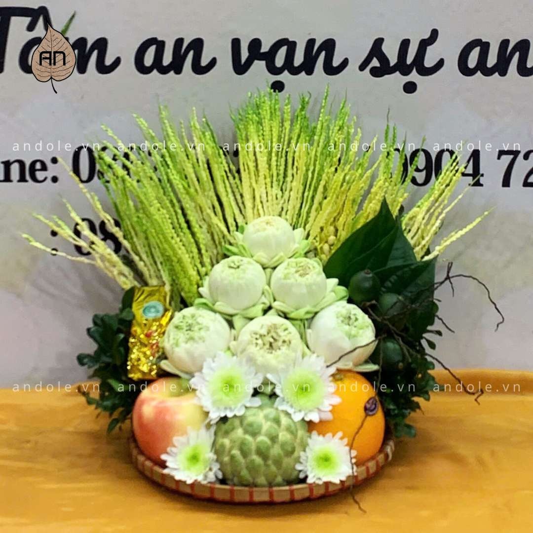 Mẹt Hoa Quả Size 25cm - Mẫu 153