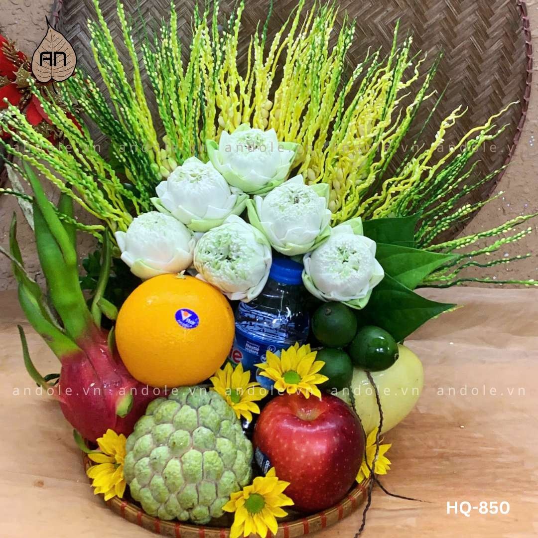 Mẹt Hoa Quả Size 25cm - Mẫu 151