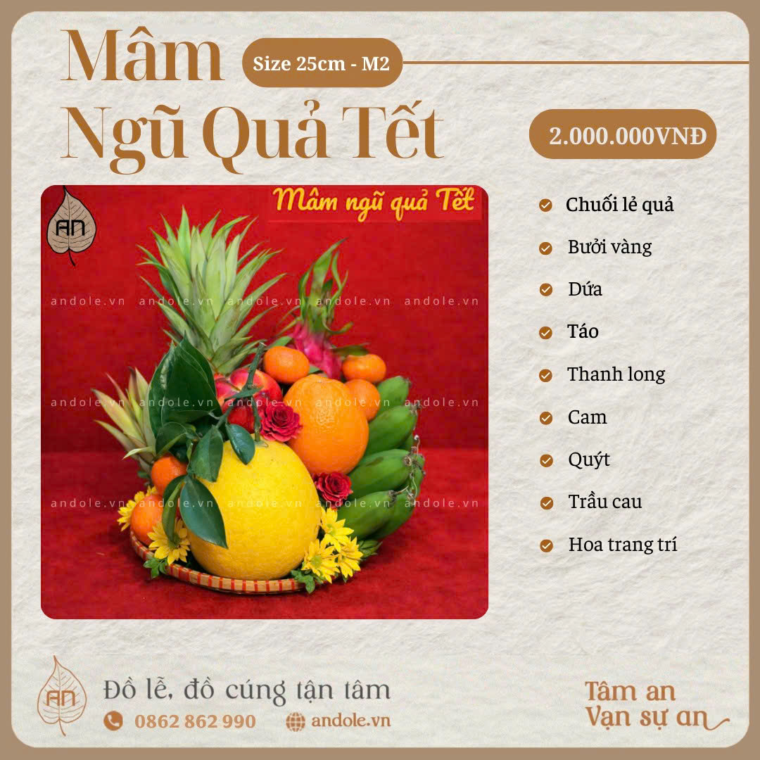 MÂM NGŨ QUẢ TẾT – MẪU 2 | TINH TẾ & TRANG NHÃ