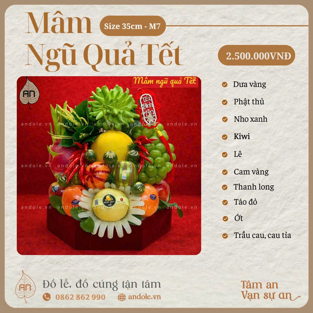 MÂM NGŨ QUẢ TẾT – MẪU 7| TINH TẾ & TRANG NHÃ