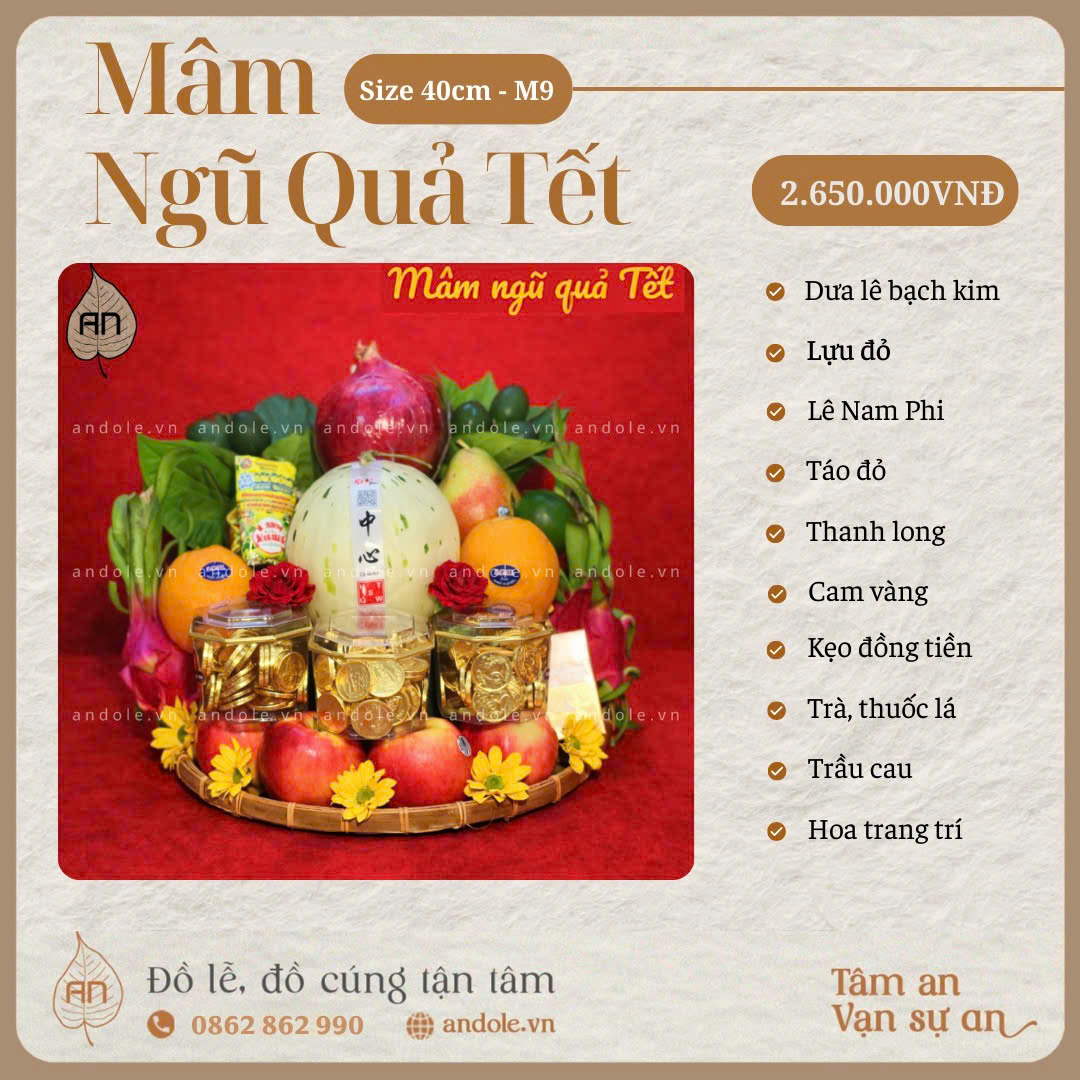 MÂM NGŨ QUẢ TẾT – MẪU 9 | HOÀN HẢO CHO NGÀY TẾT