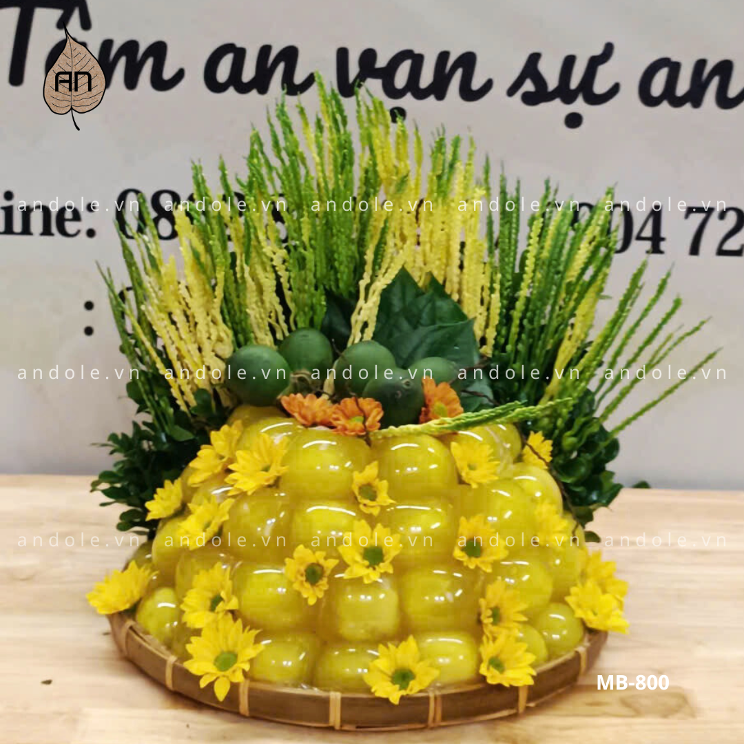 Mẹt bánh xu xê mẫu 115