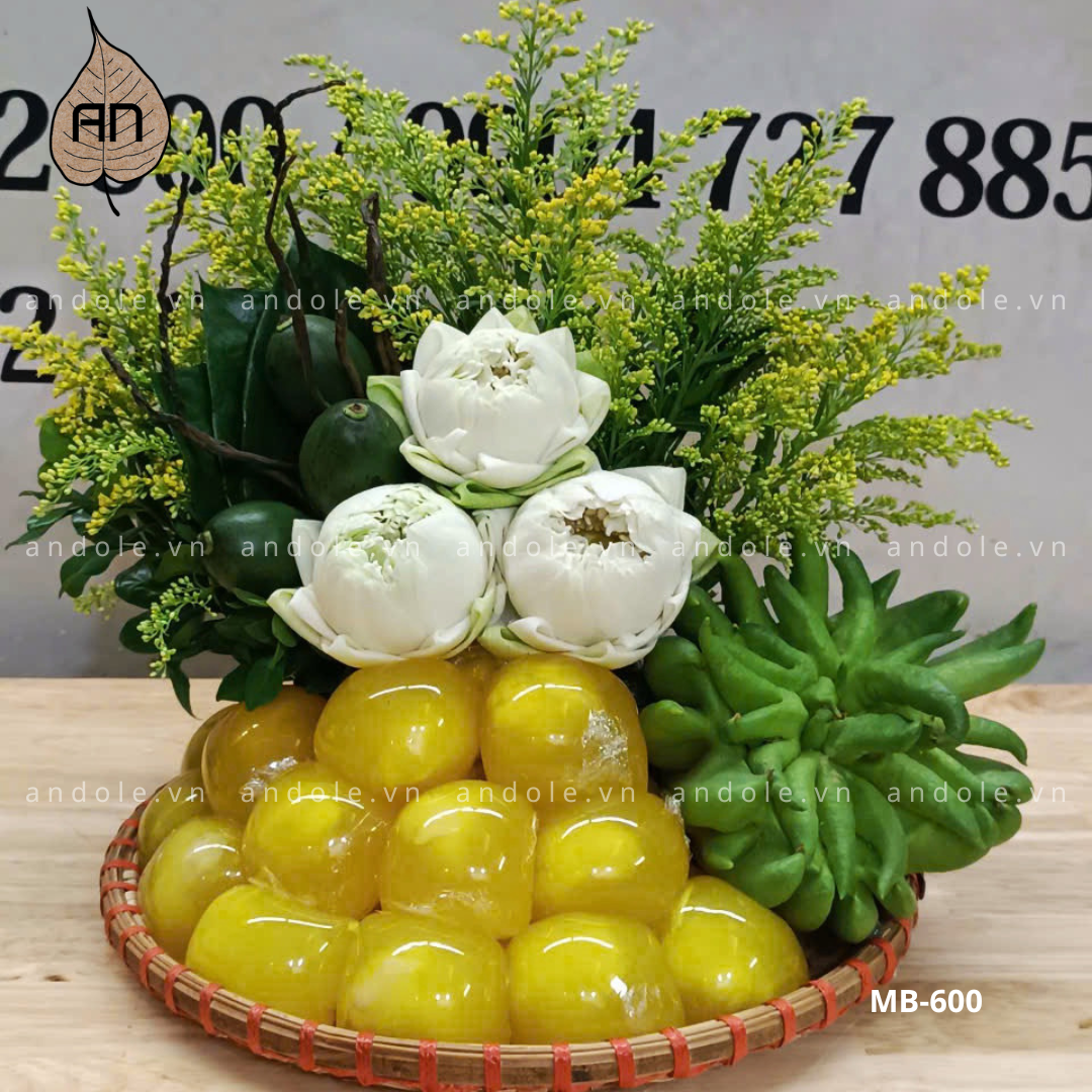 Mẹt bánh xu xê mẫu 133
