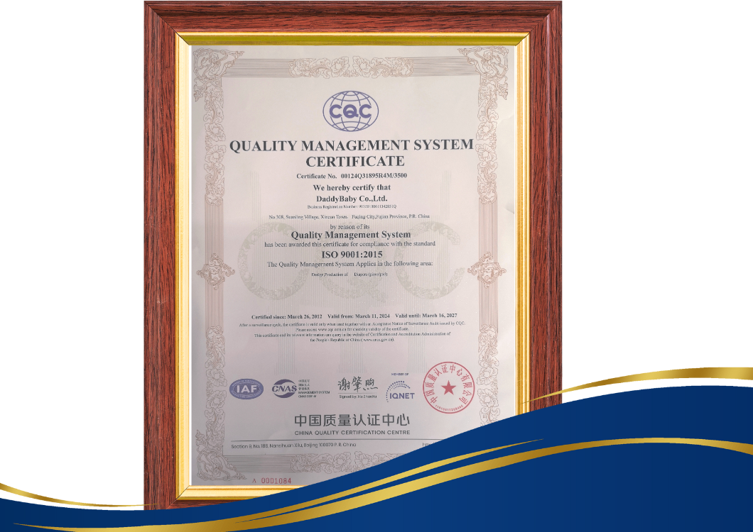 Giấy chứng nhận tiêu chuẩn ISO9001 của Daddy Baby - nhà máy sản xuất của Shanney