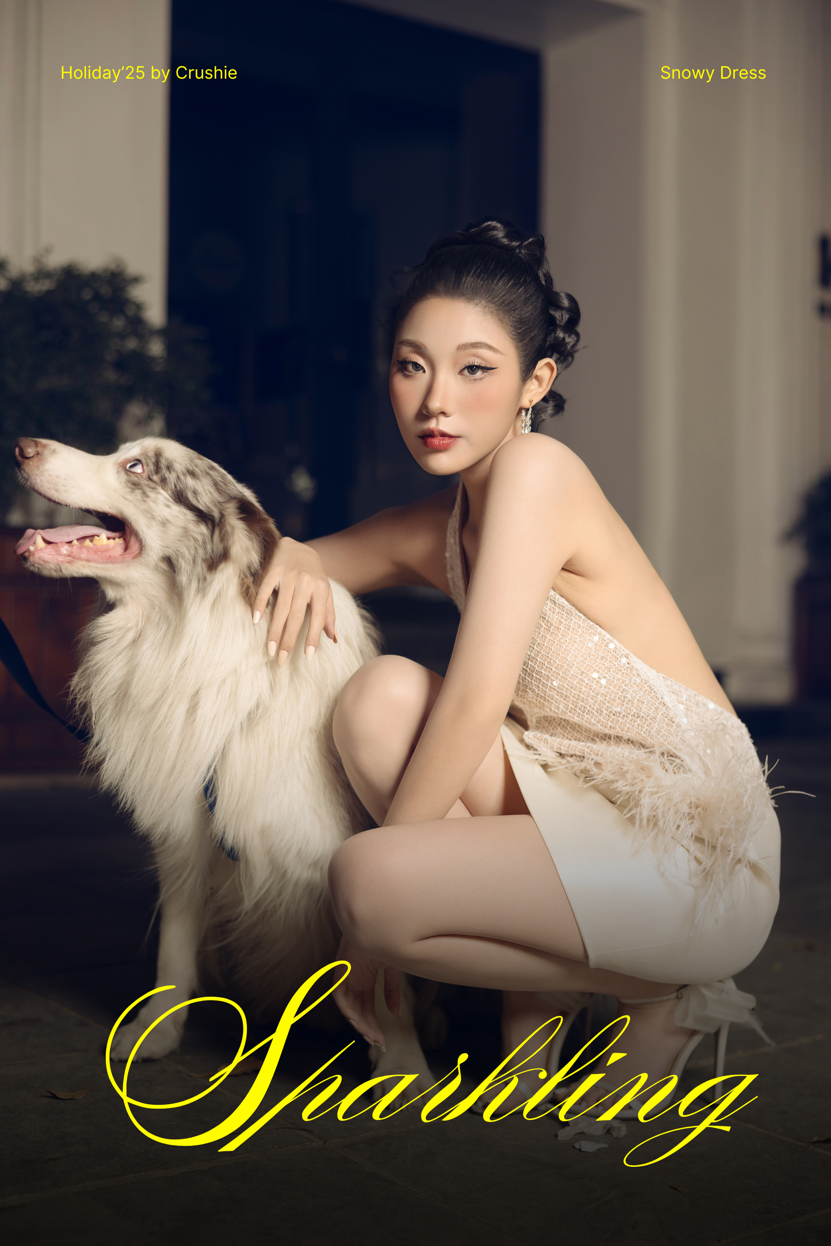 20260224_kDD672zr.png