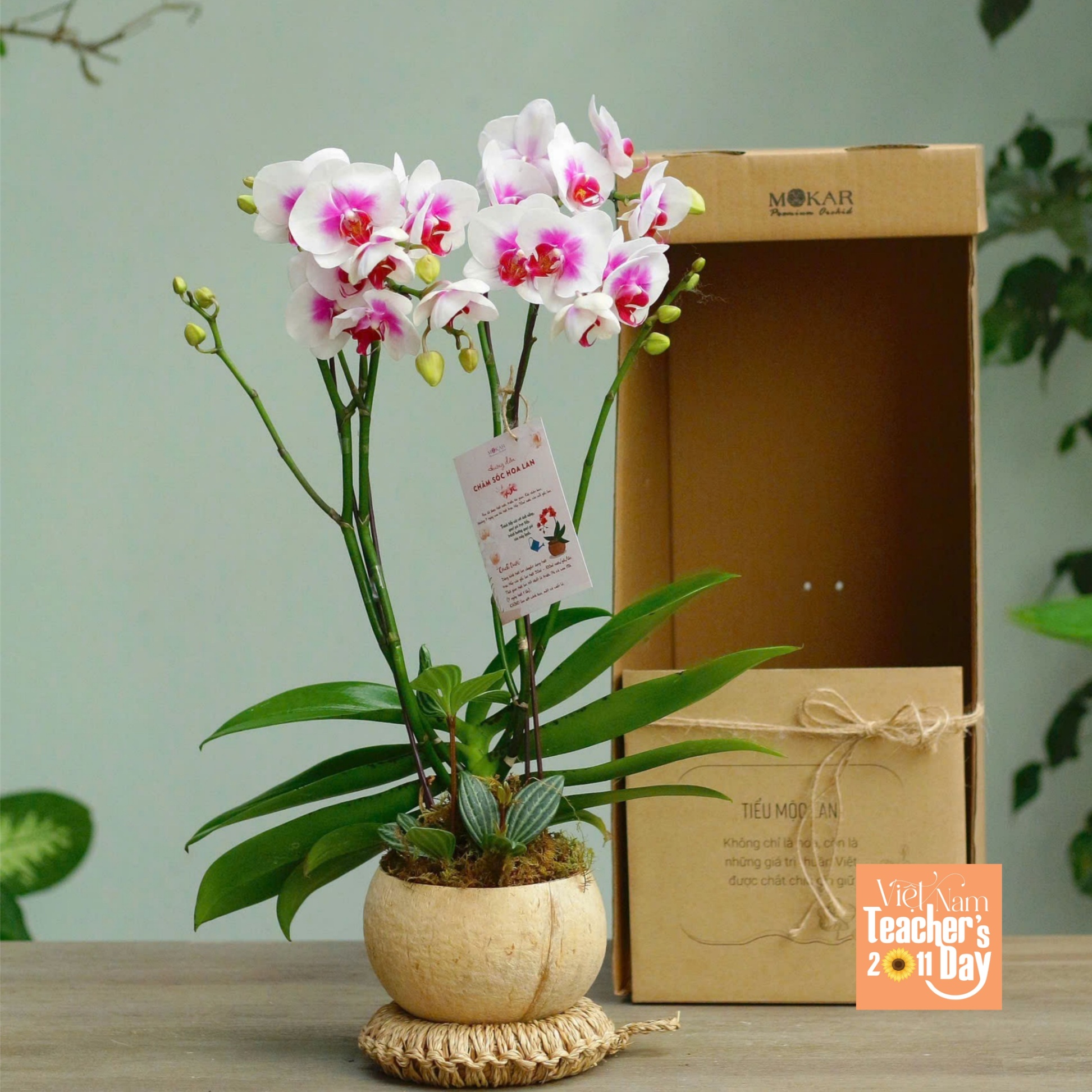 product-image-preview
