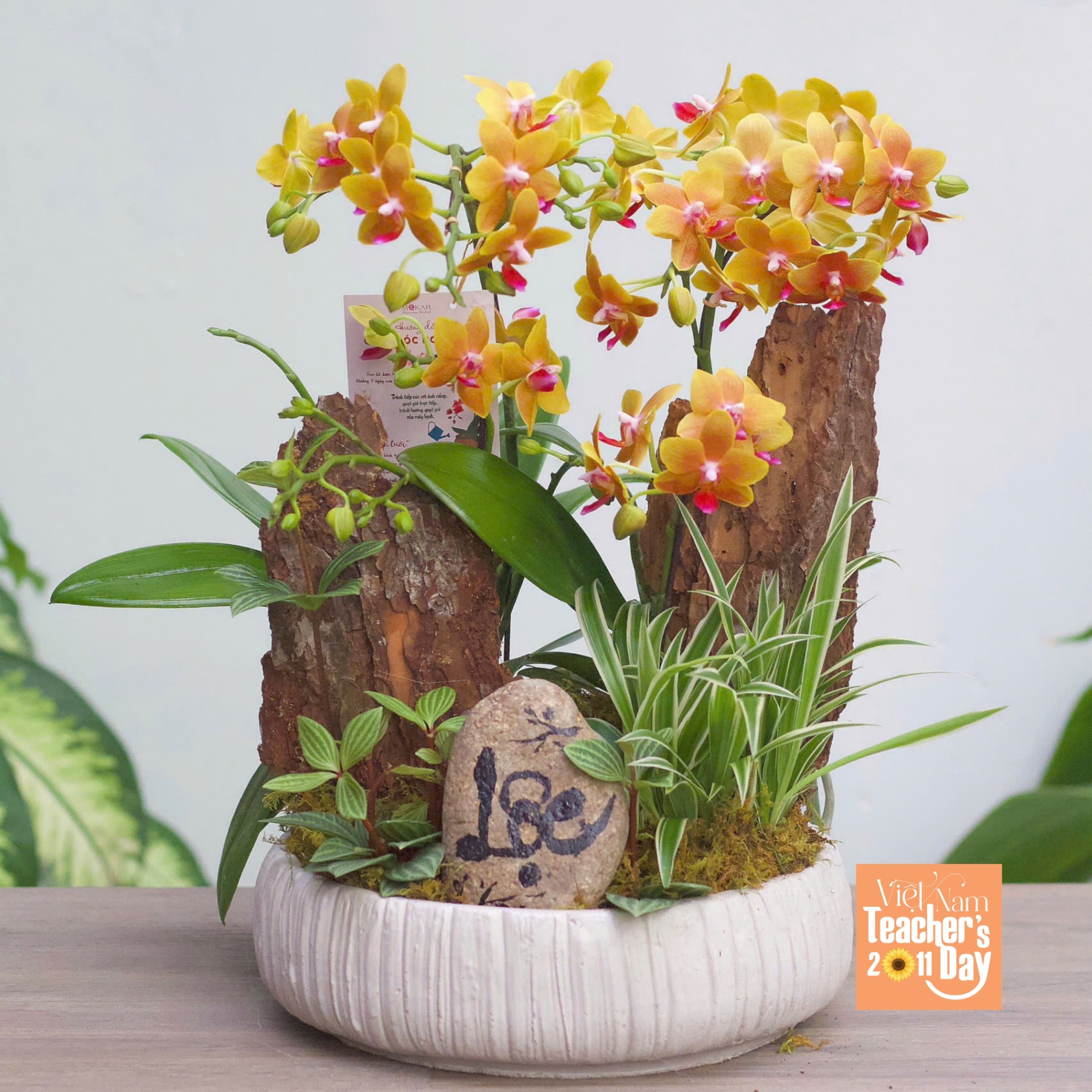 product-image-preview