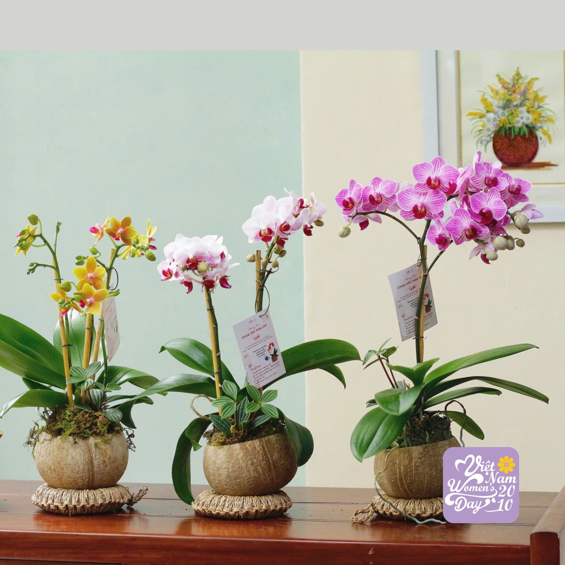 product-image-preview