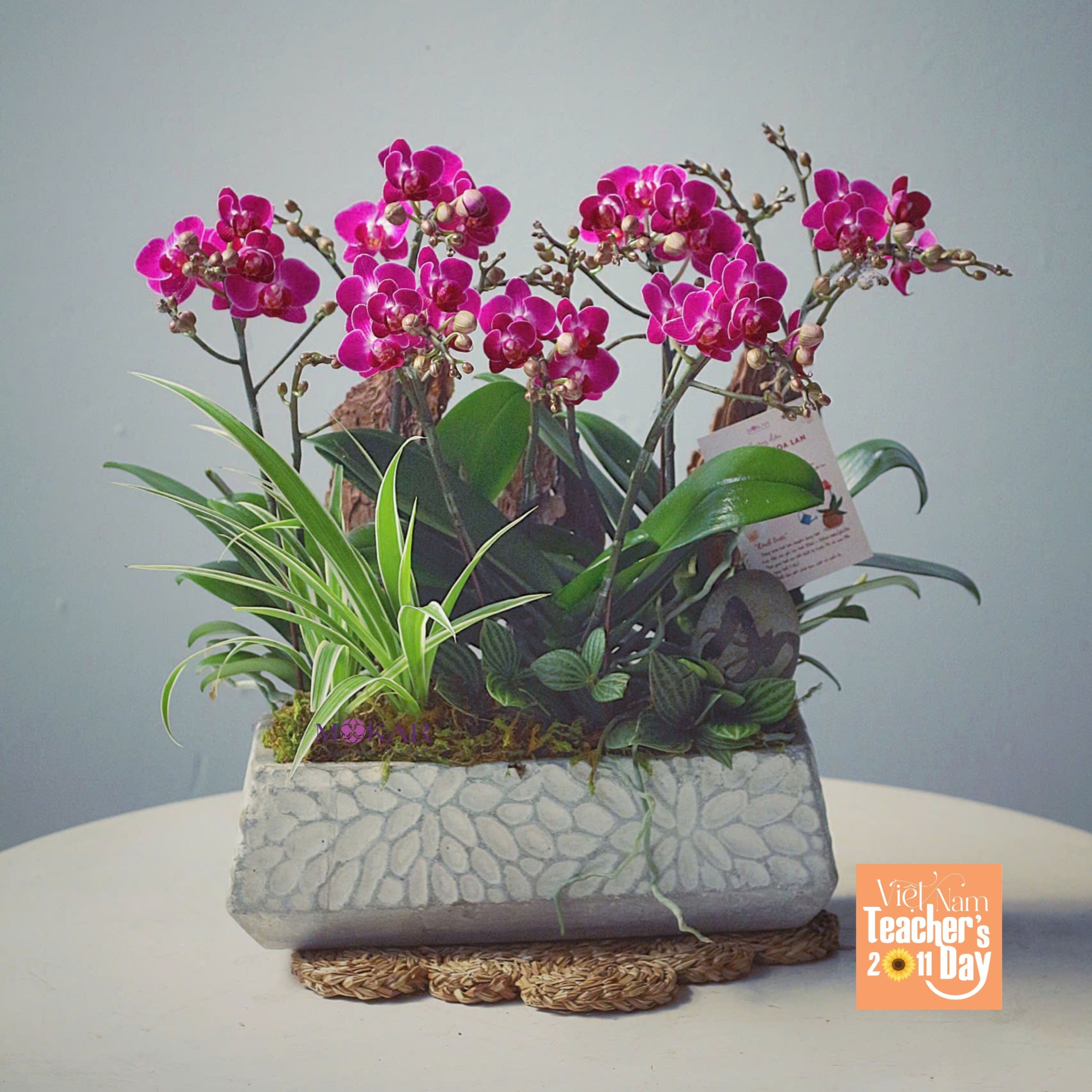 product-image-preview
