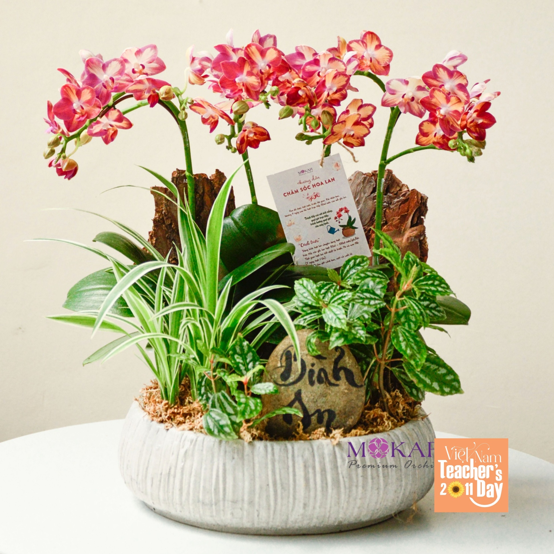 product-image-preview