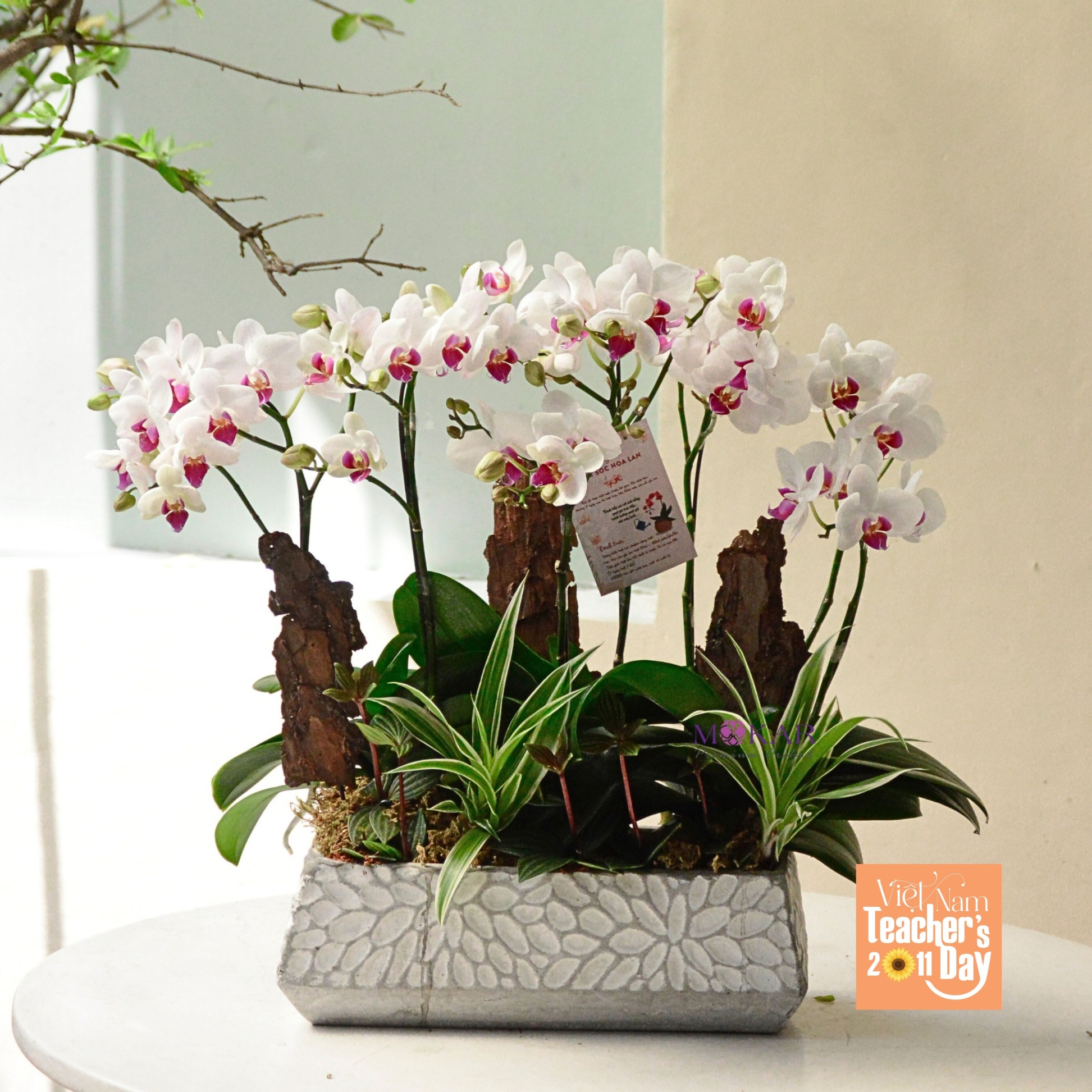 product-image-preview