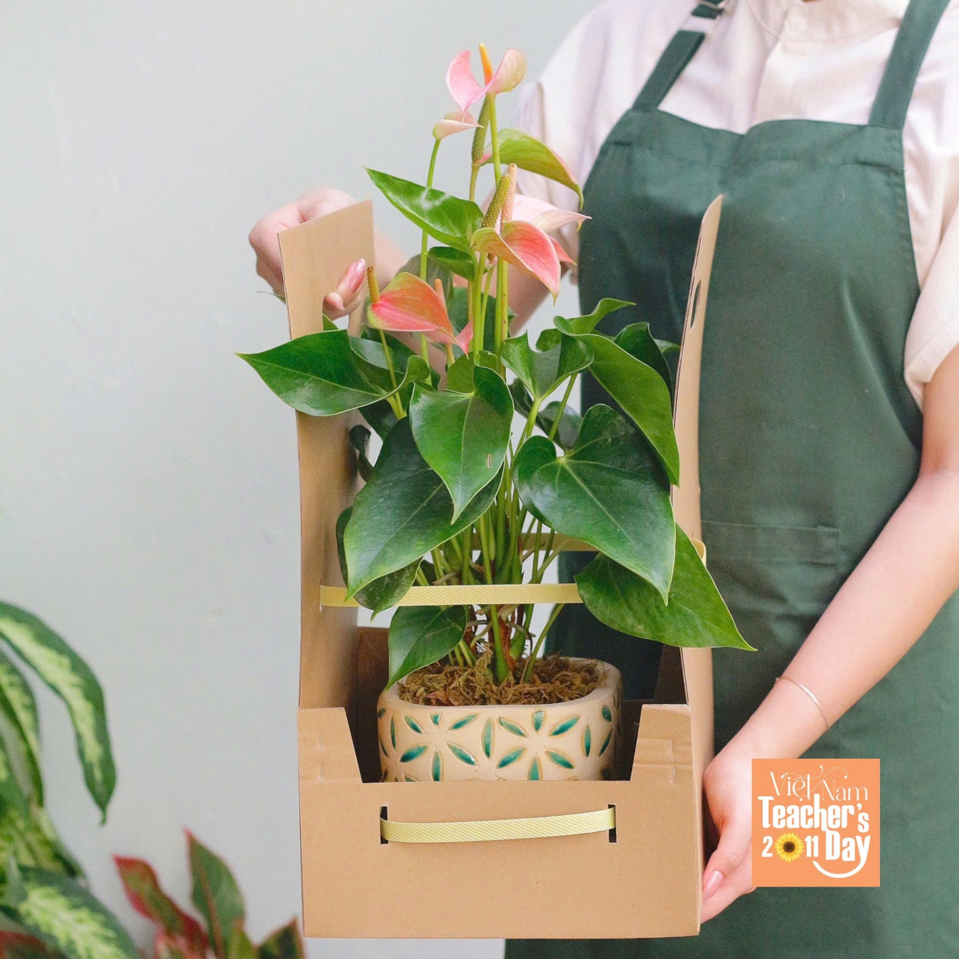 product-image-preview