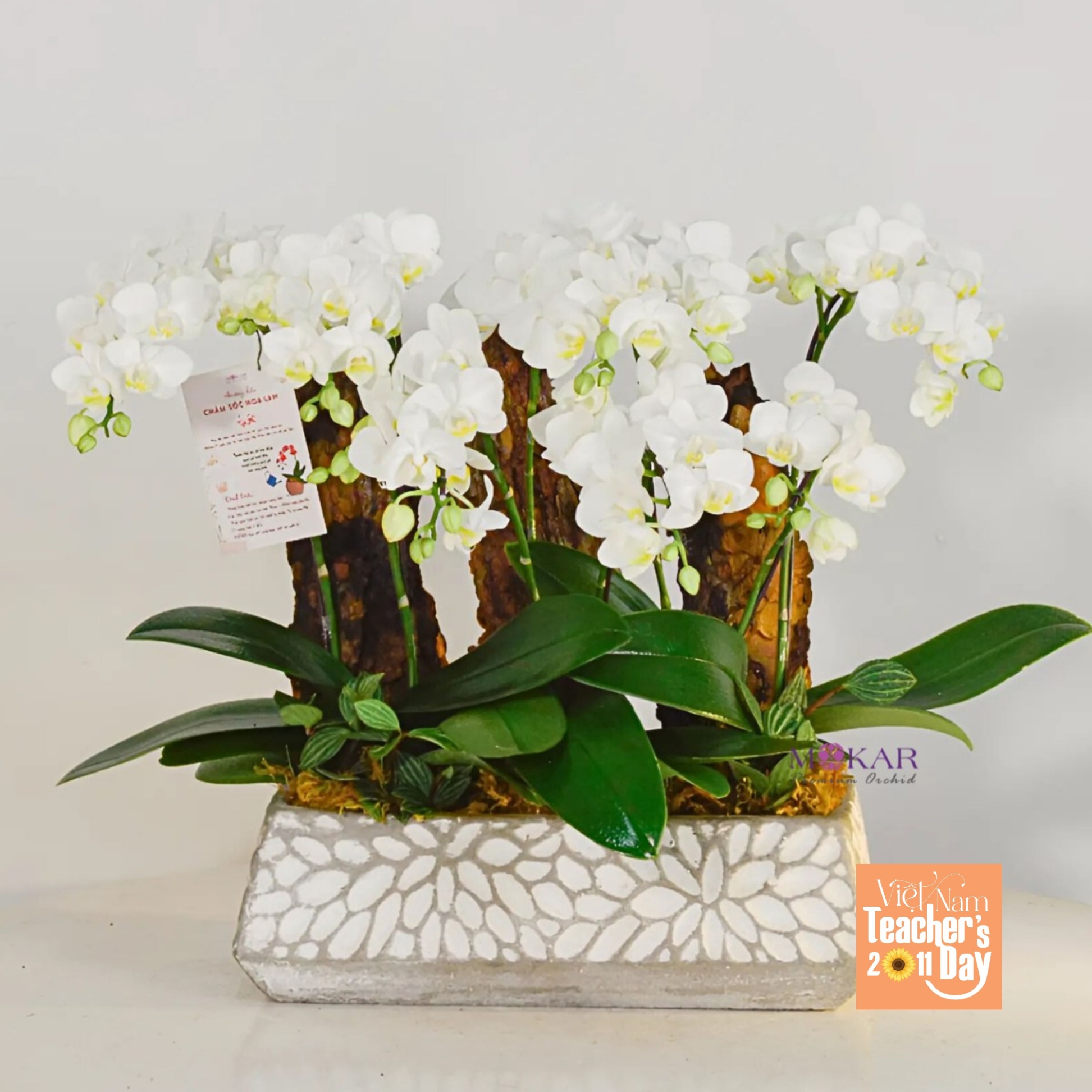 product-image-preview