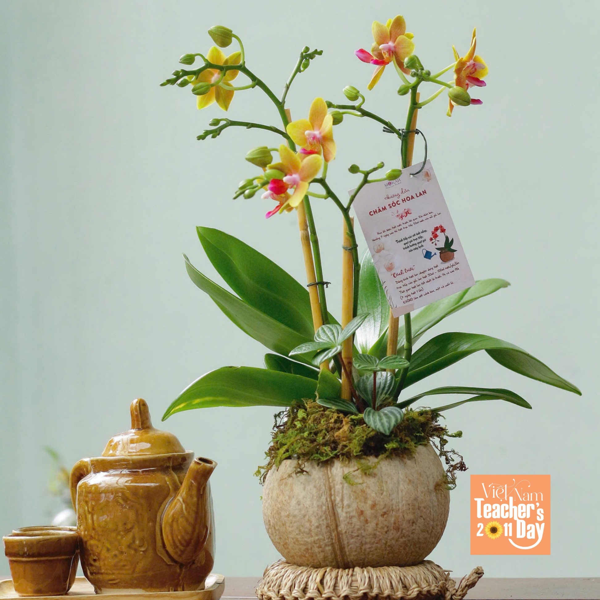 product-image-preview