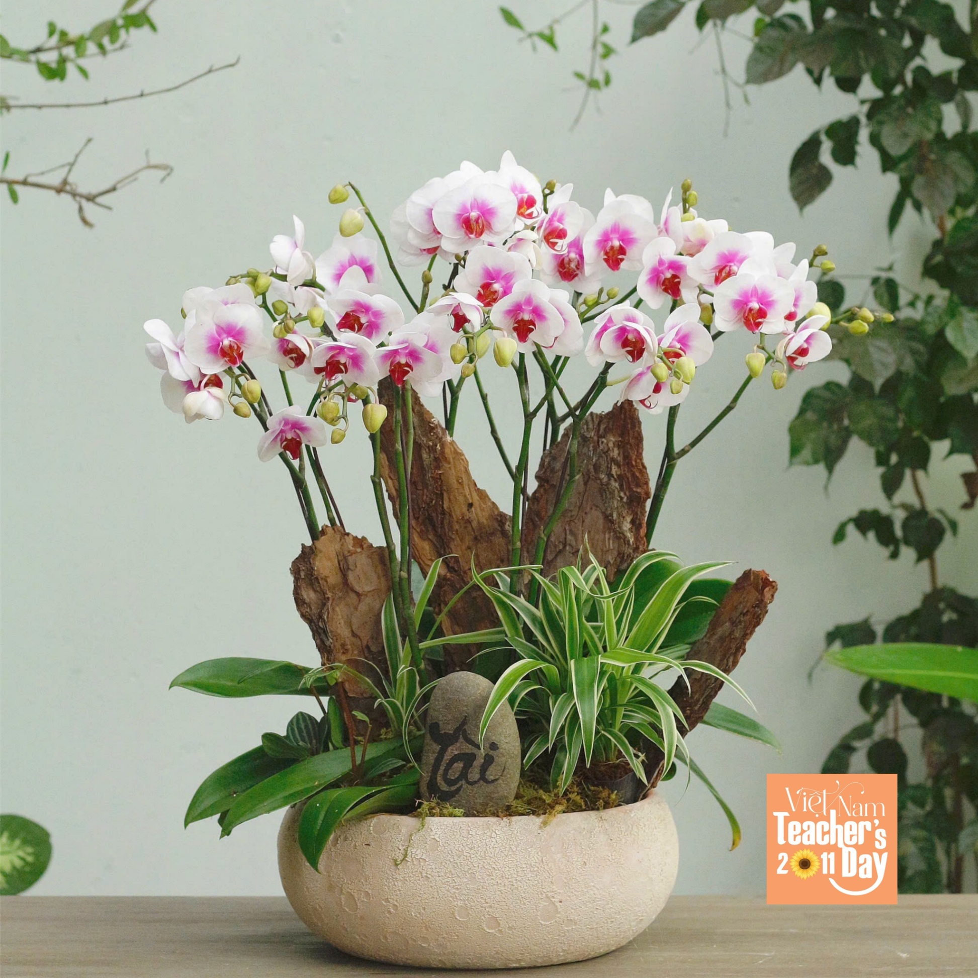 product-image-preview