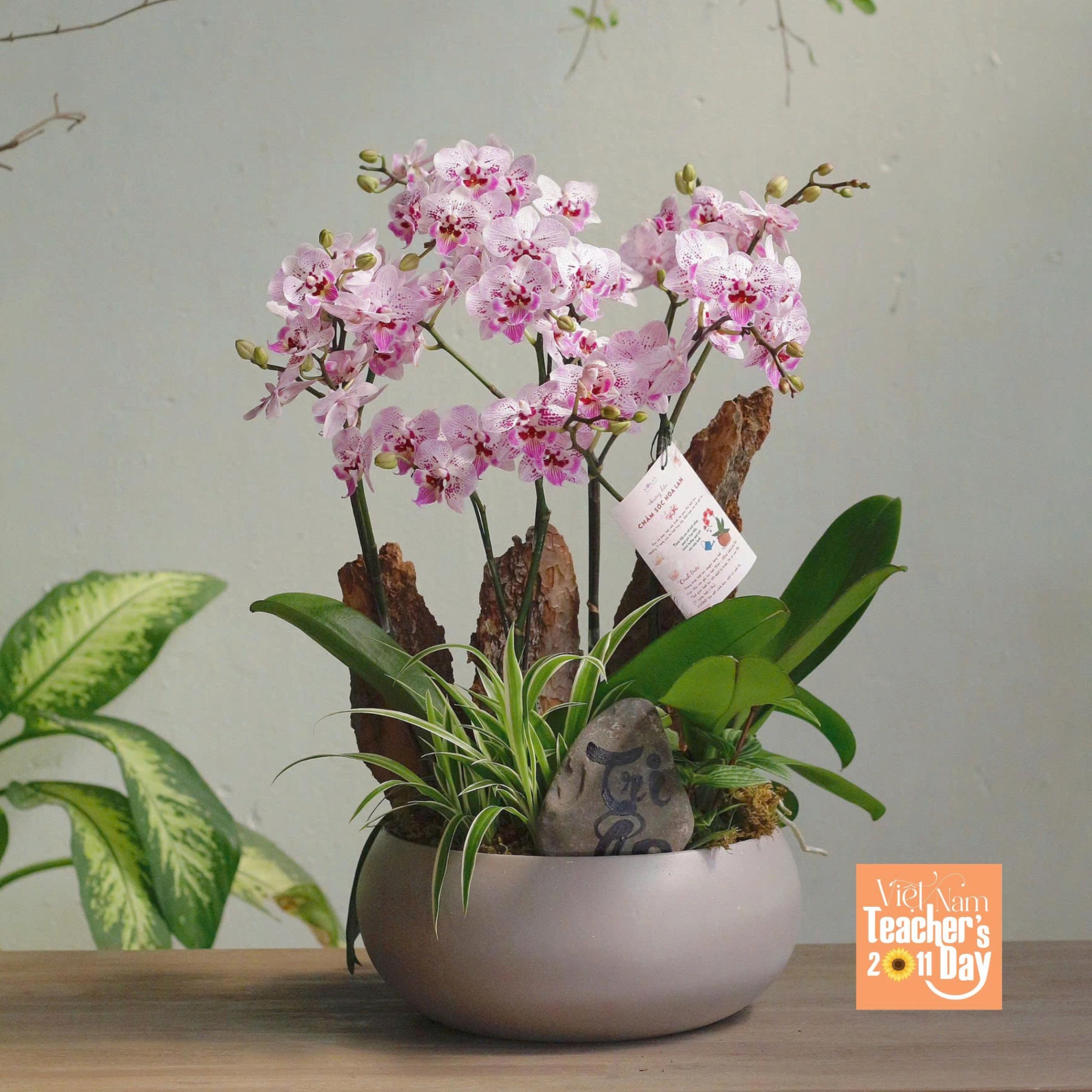 product-image-preview