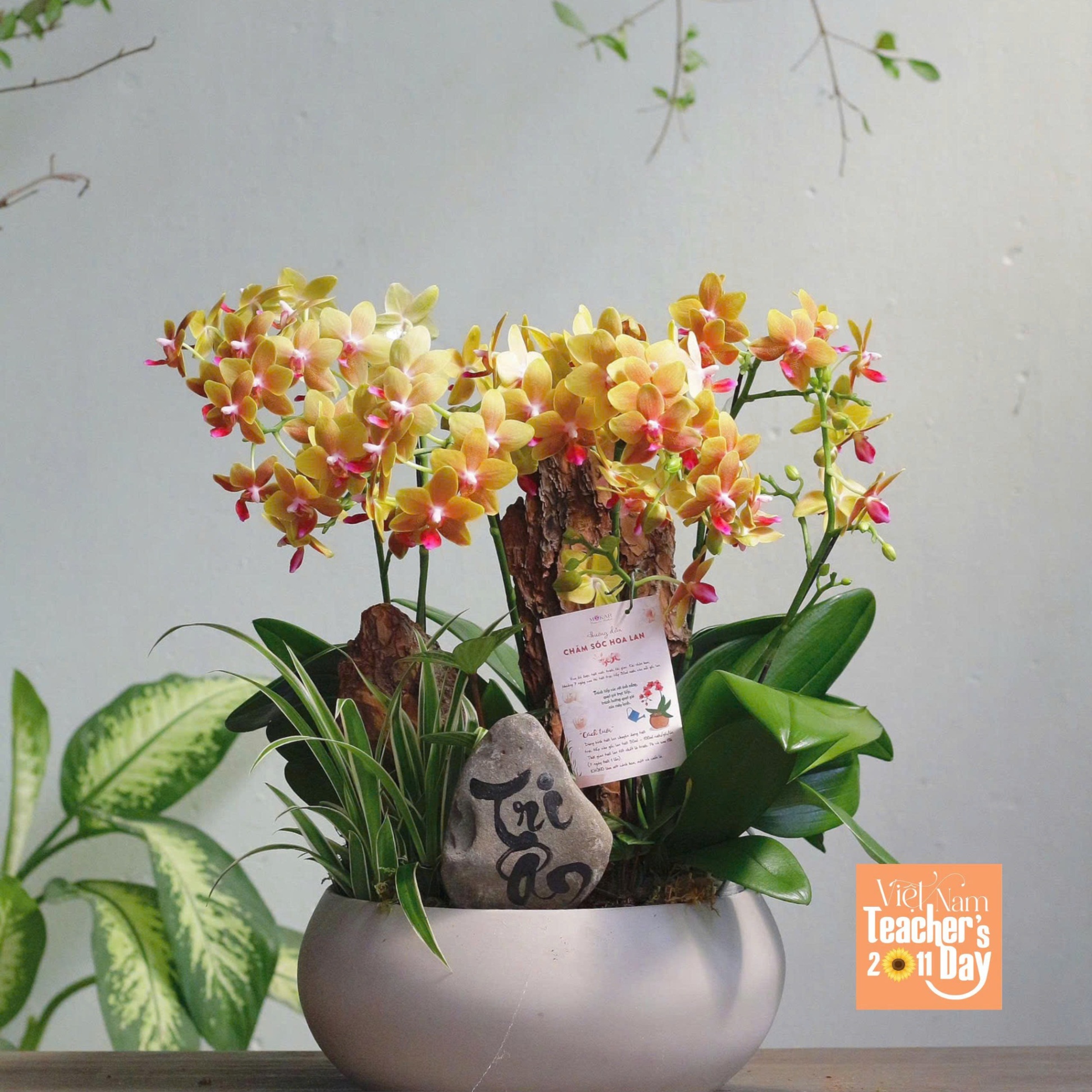 product-image-preview