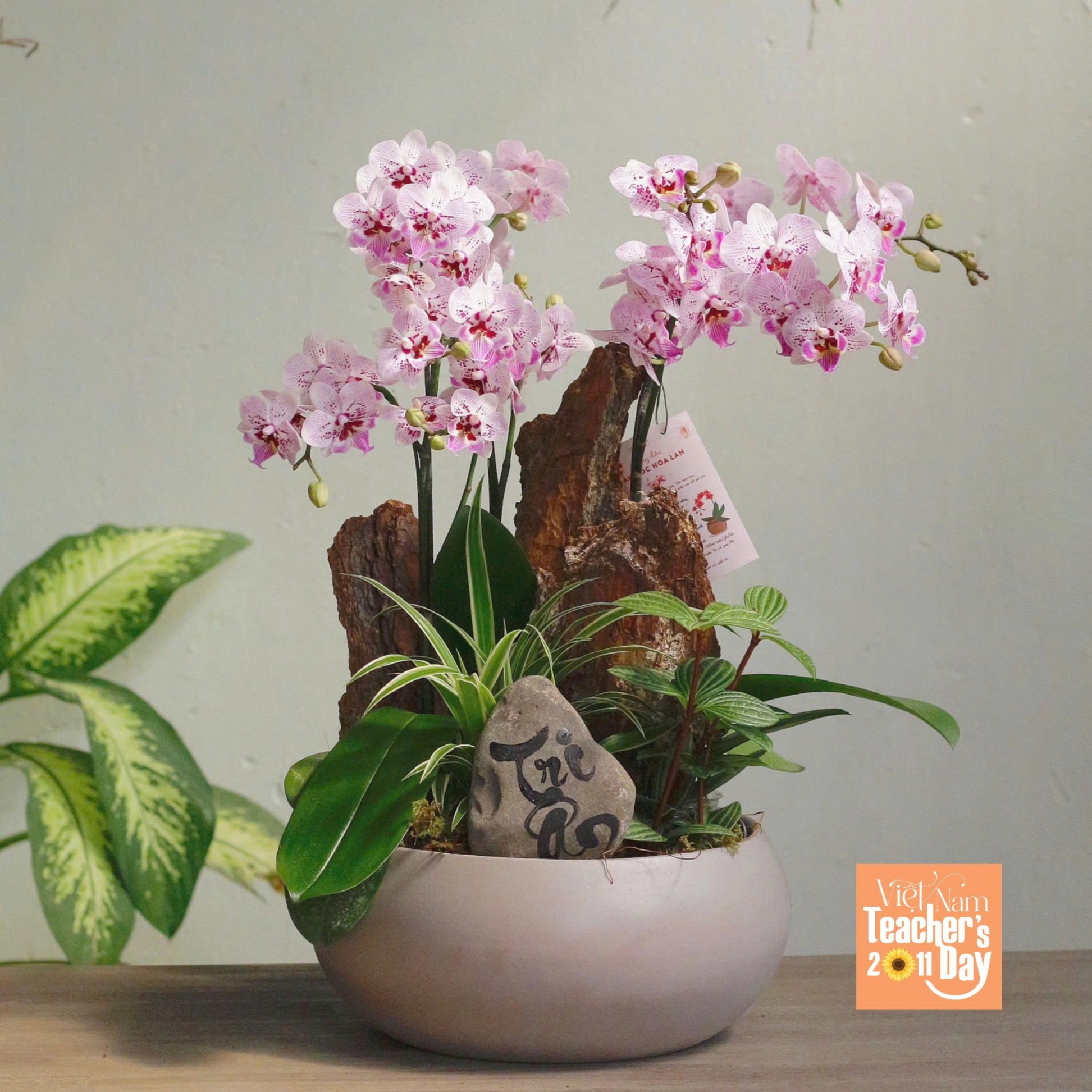 product-image-preview