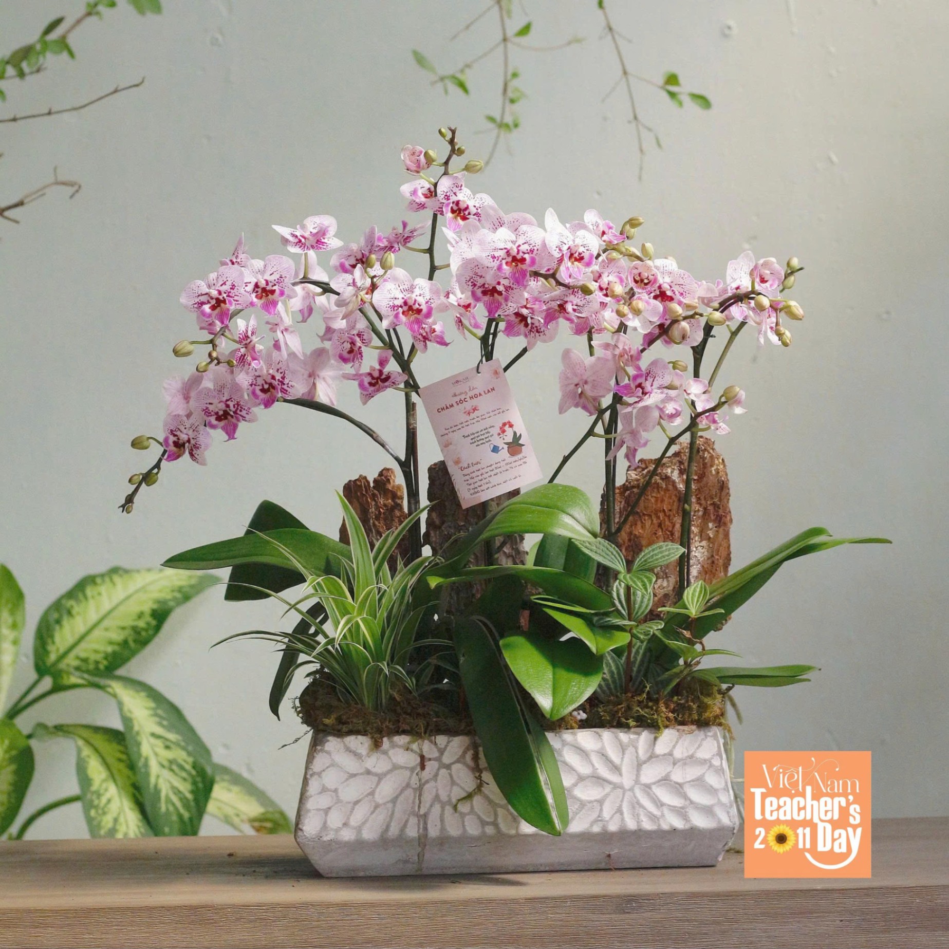 product-image-preview