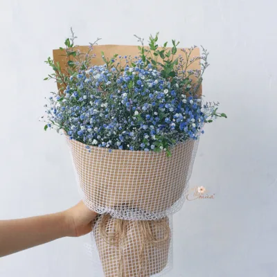 product-image-preview