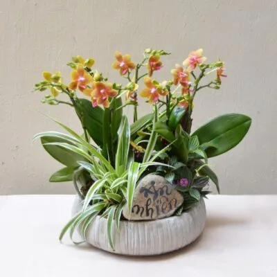 product-image-preview