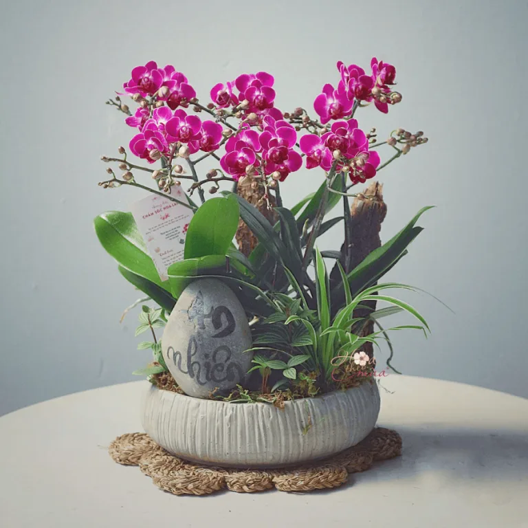 product-image-preview