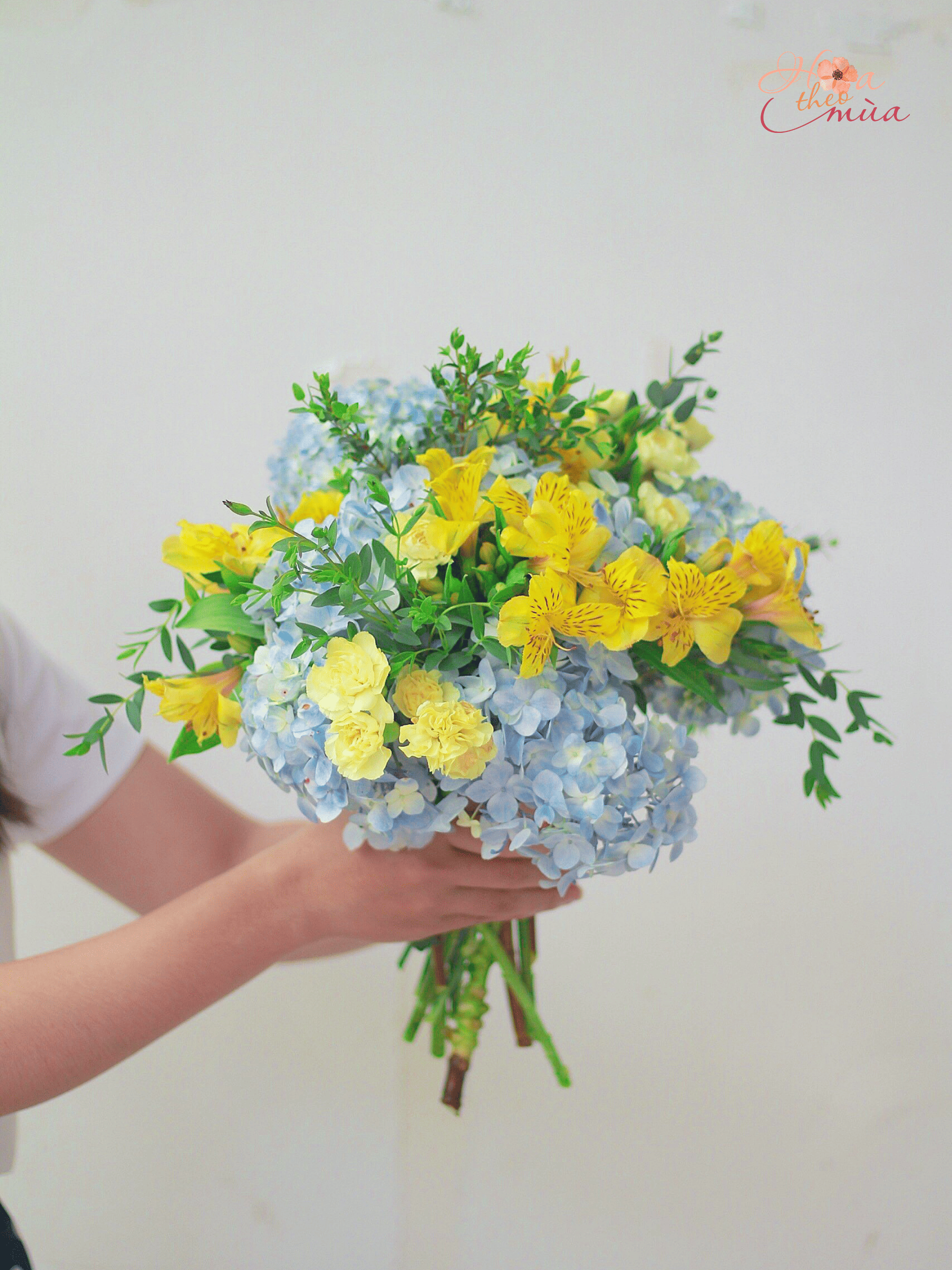 product-image-preview