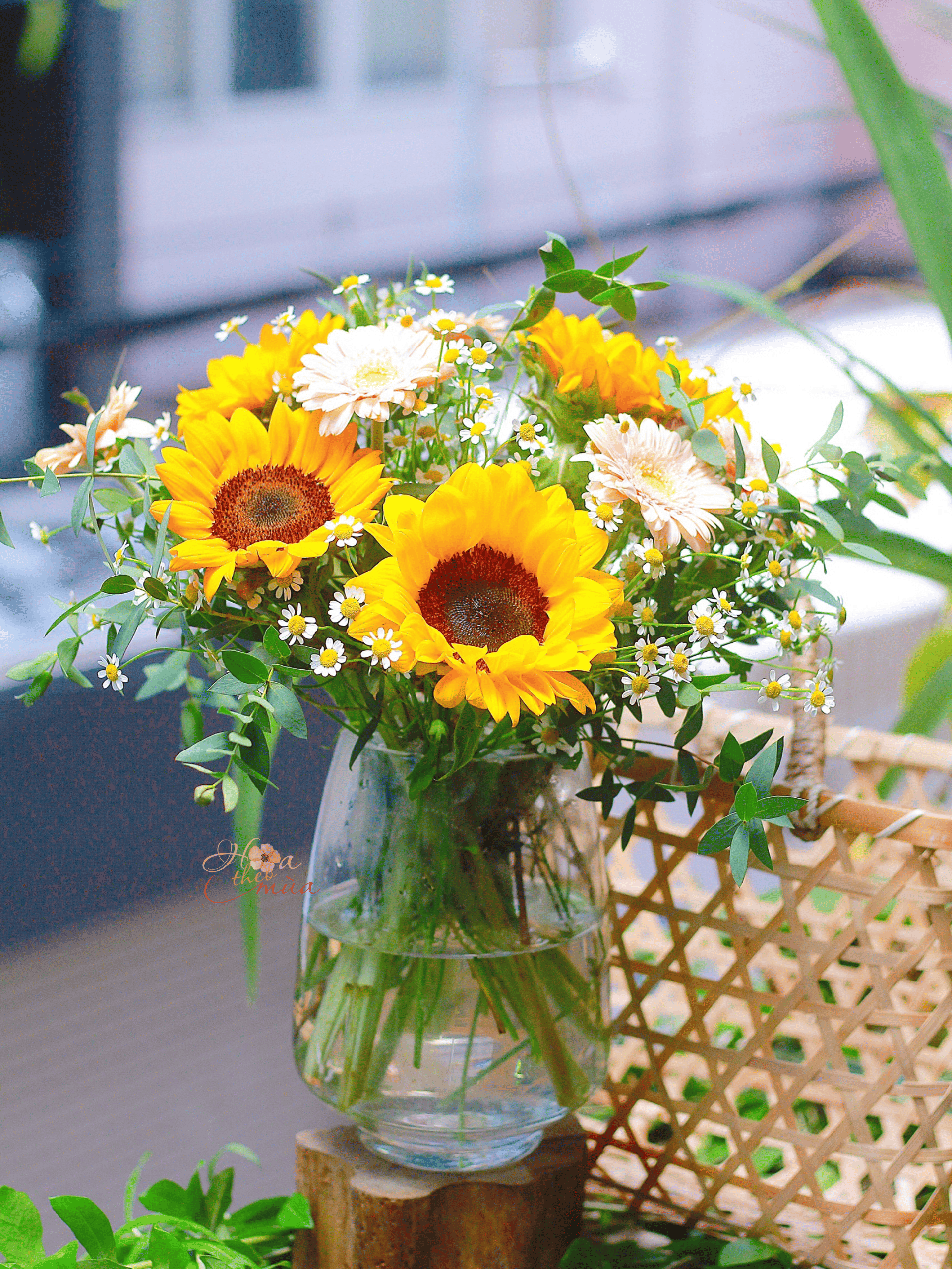 product-image-preview