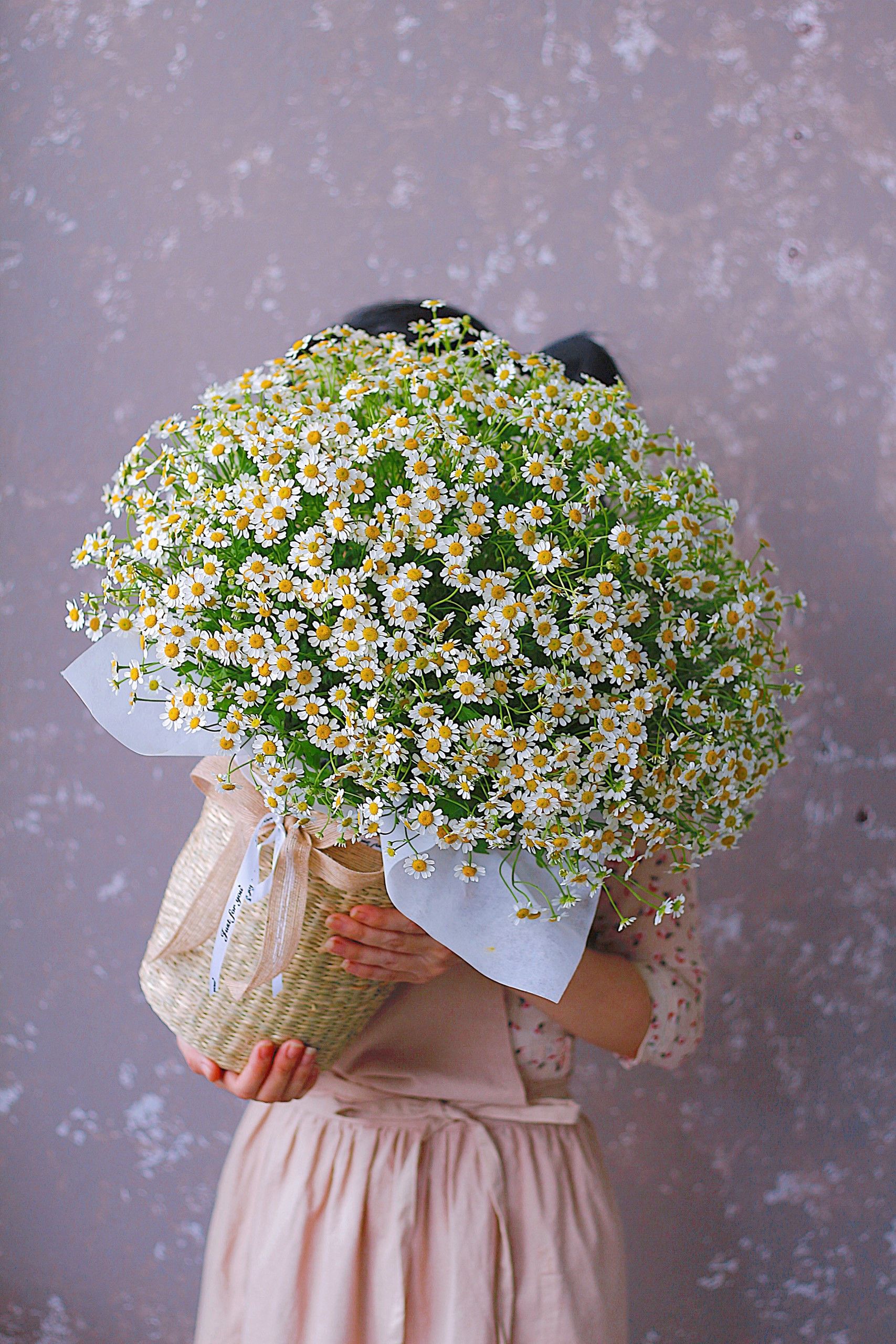 product-image-preview
