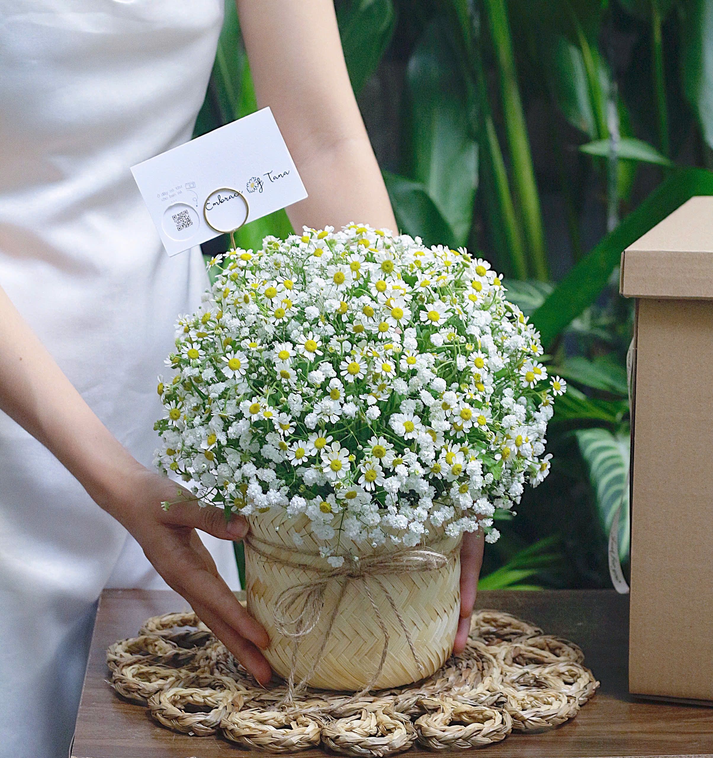product-image-preview