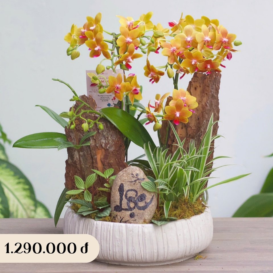 product-image-preview