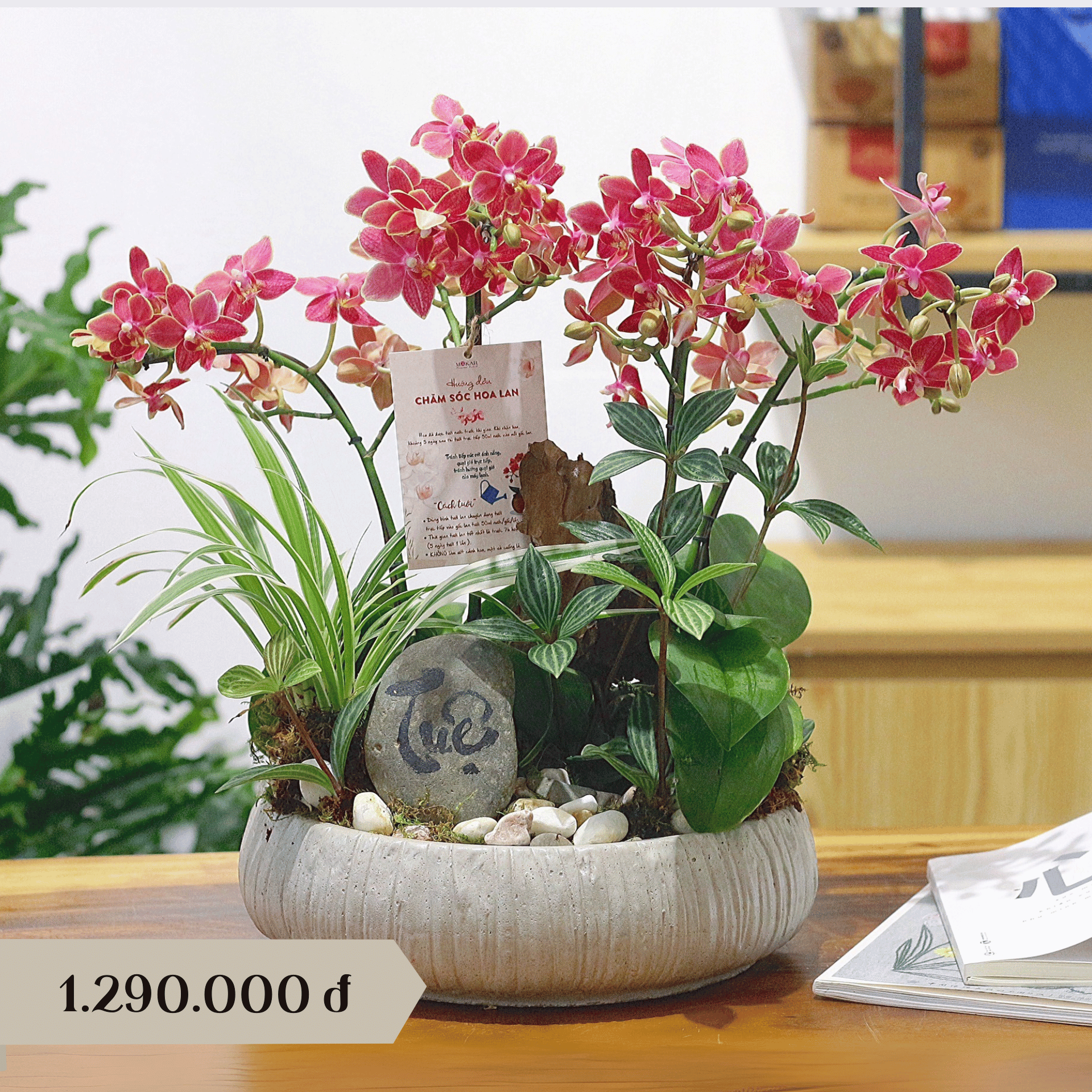 product-image-preview