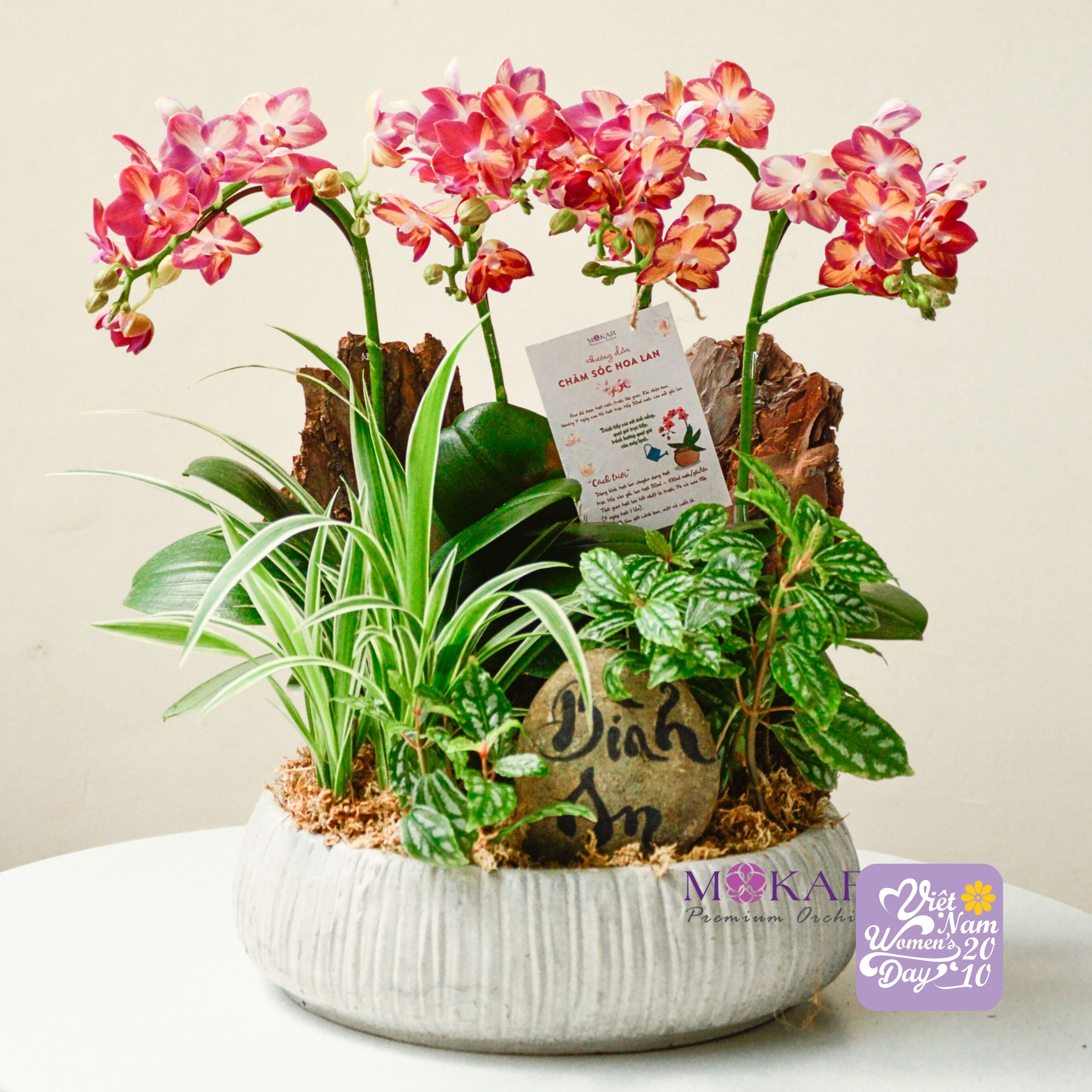 product-image-preview