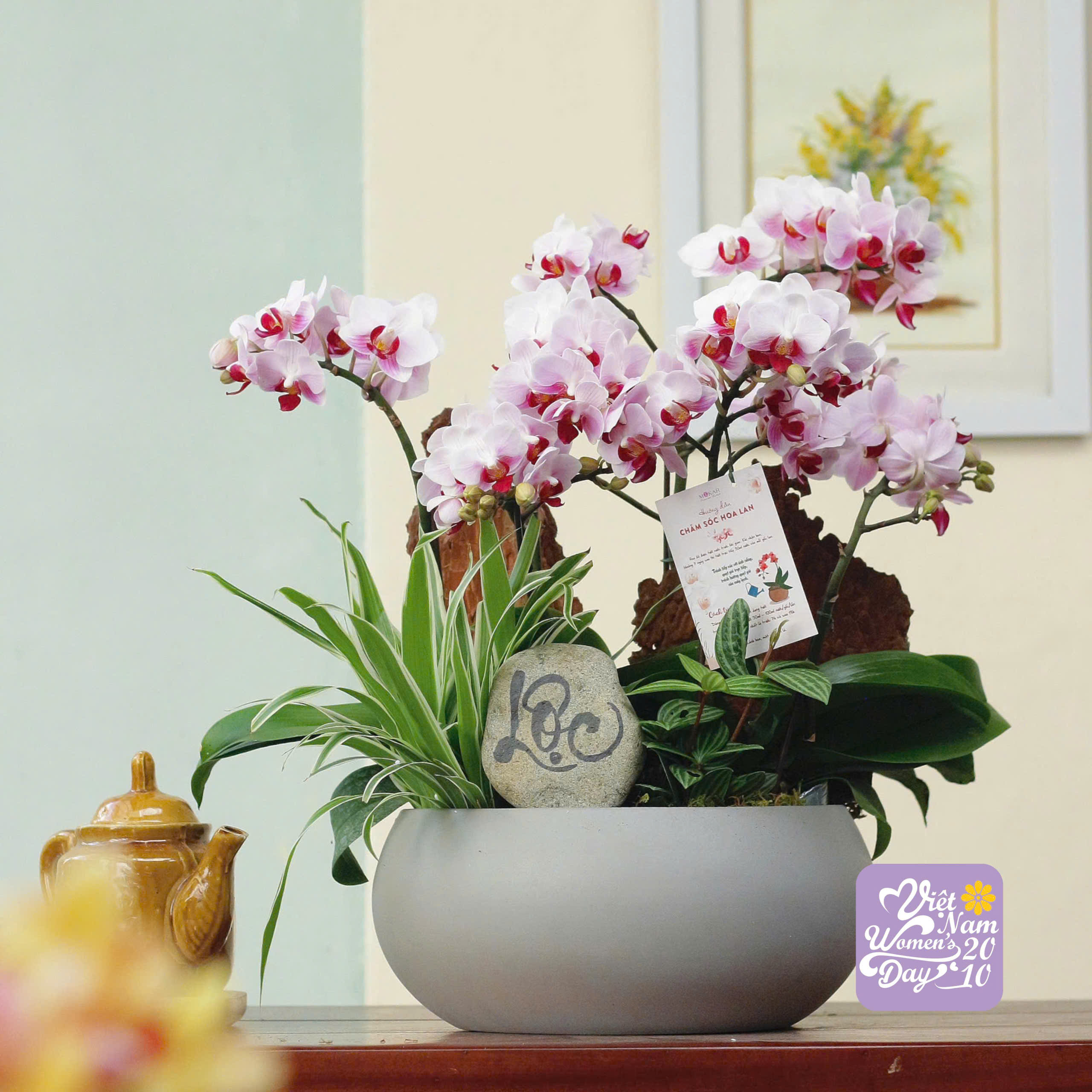 product-image-preview