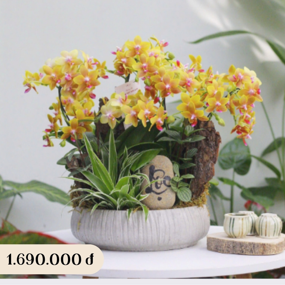 product-image-preview