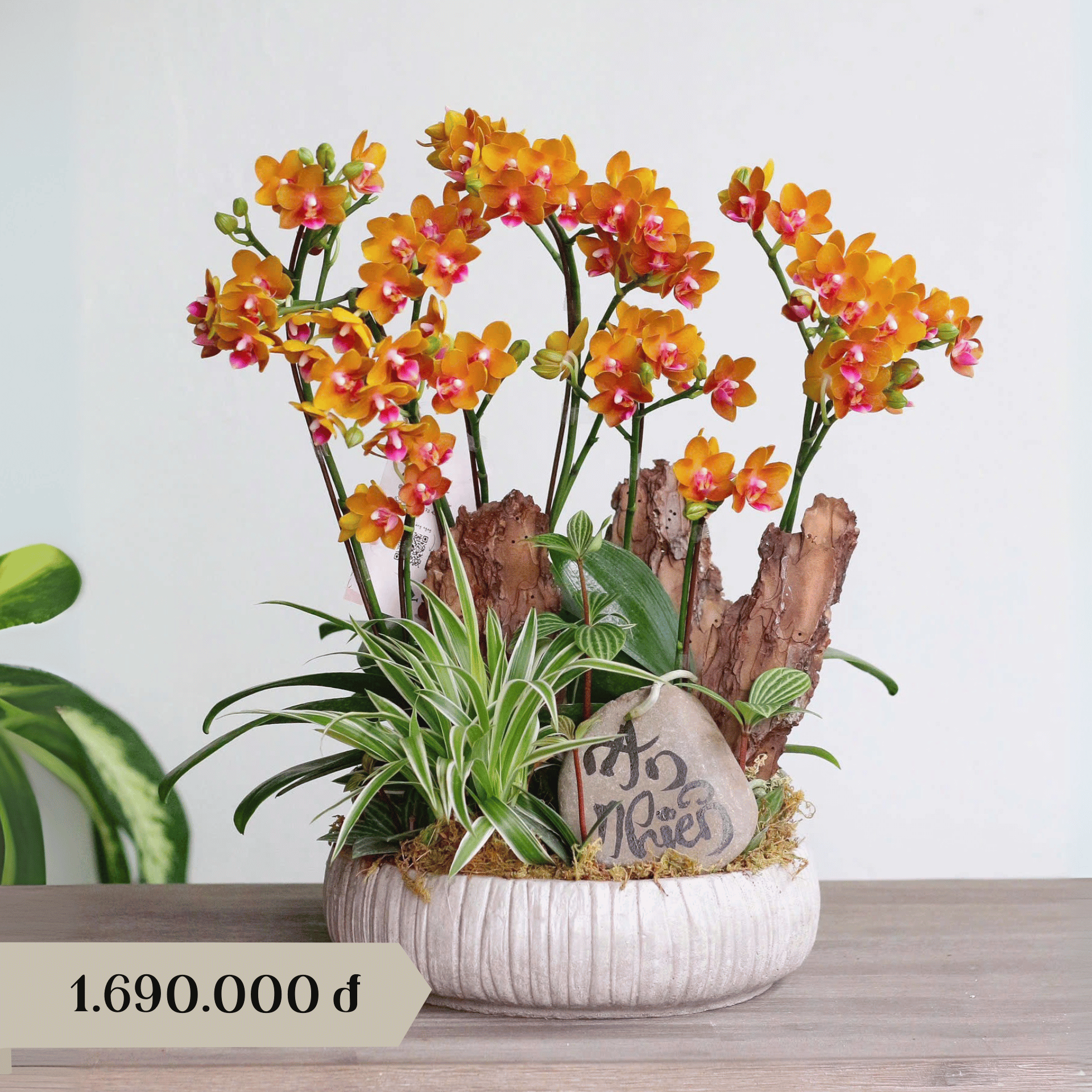 product-image-preview