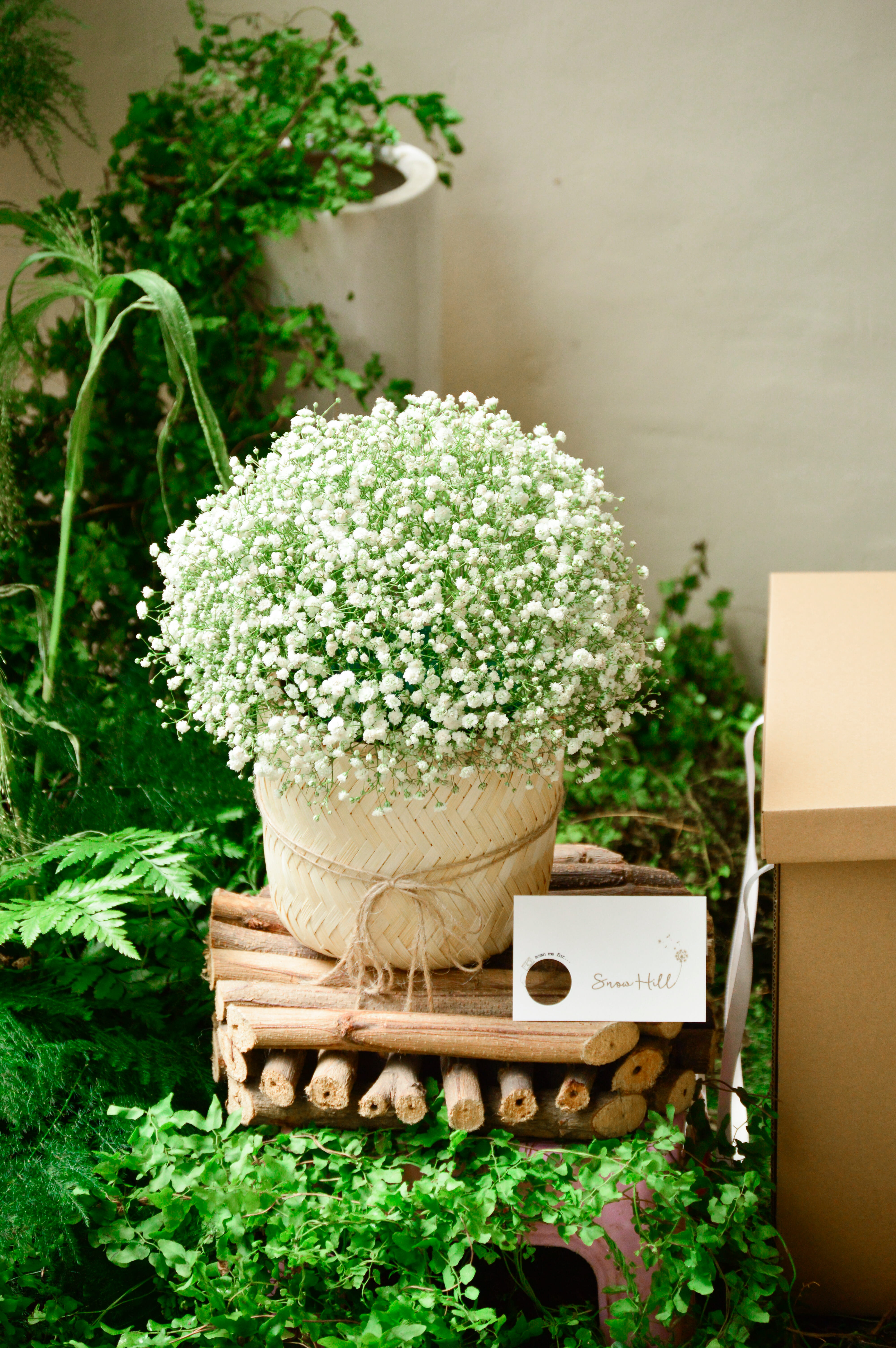 product-image-preview