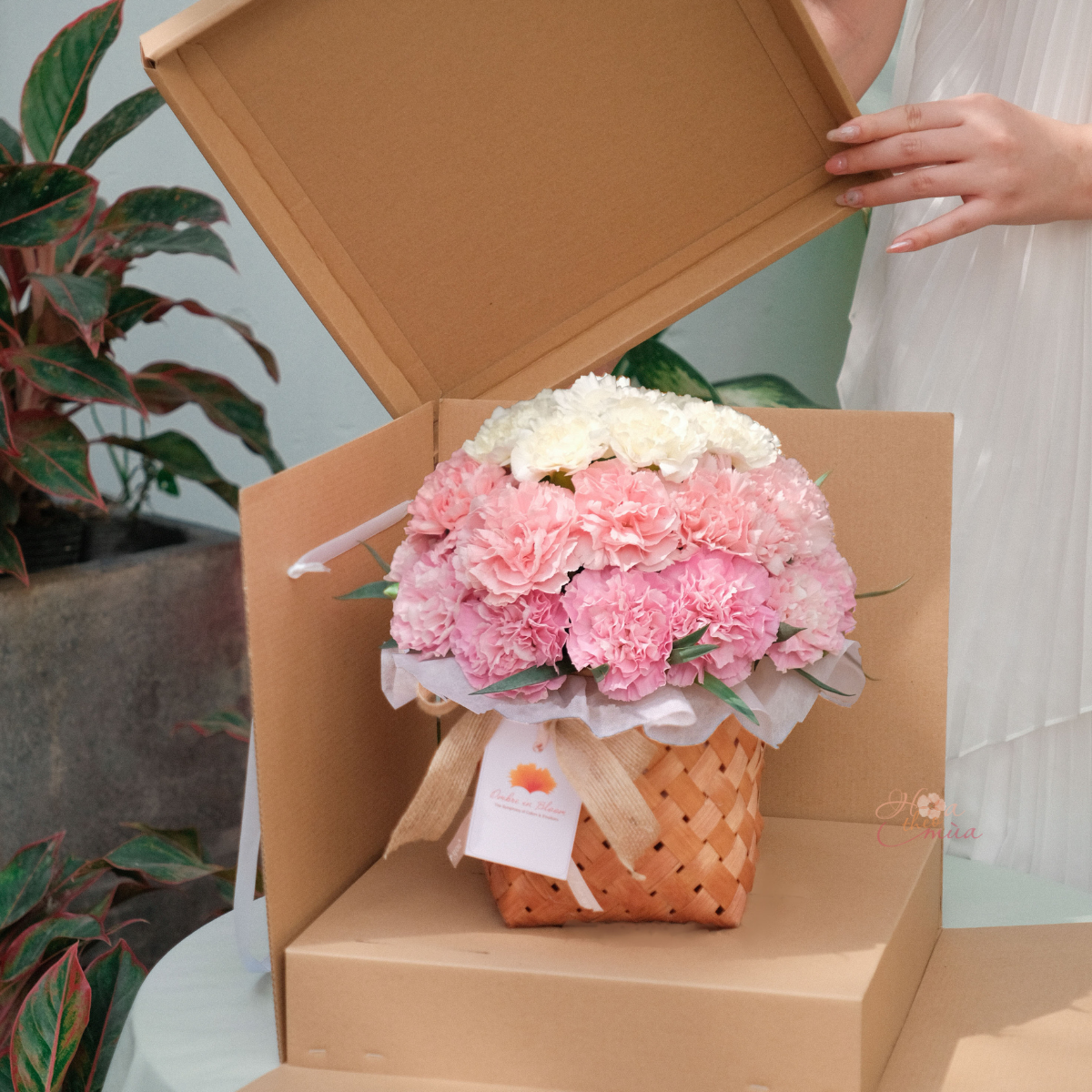 product-image-preview