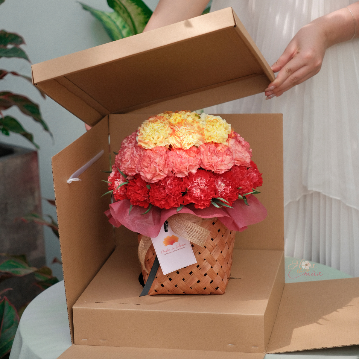 product-image-preview