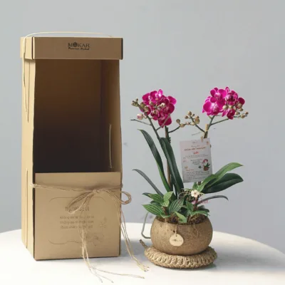product-image-preview