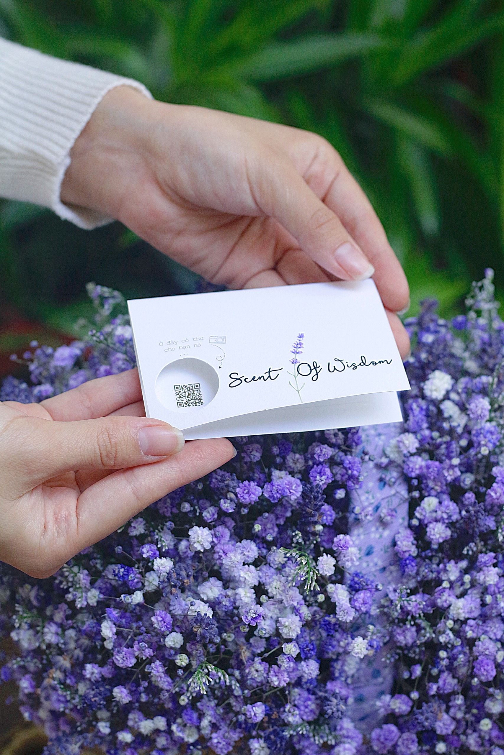 product-image-preview