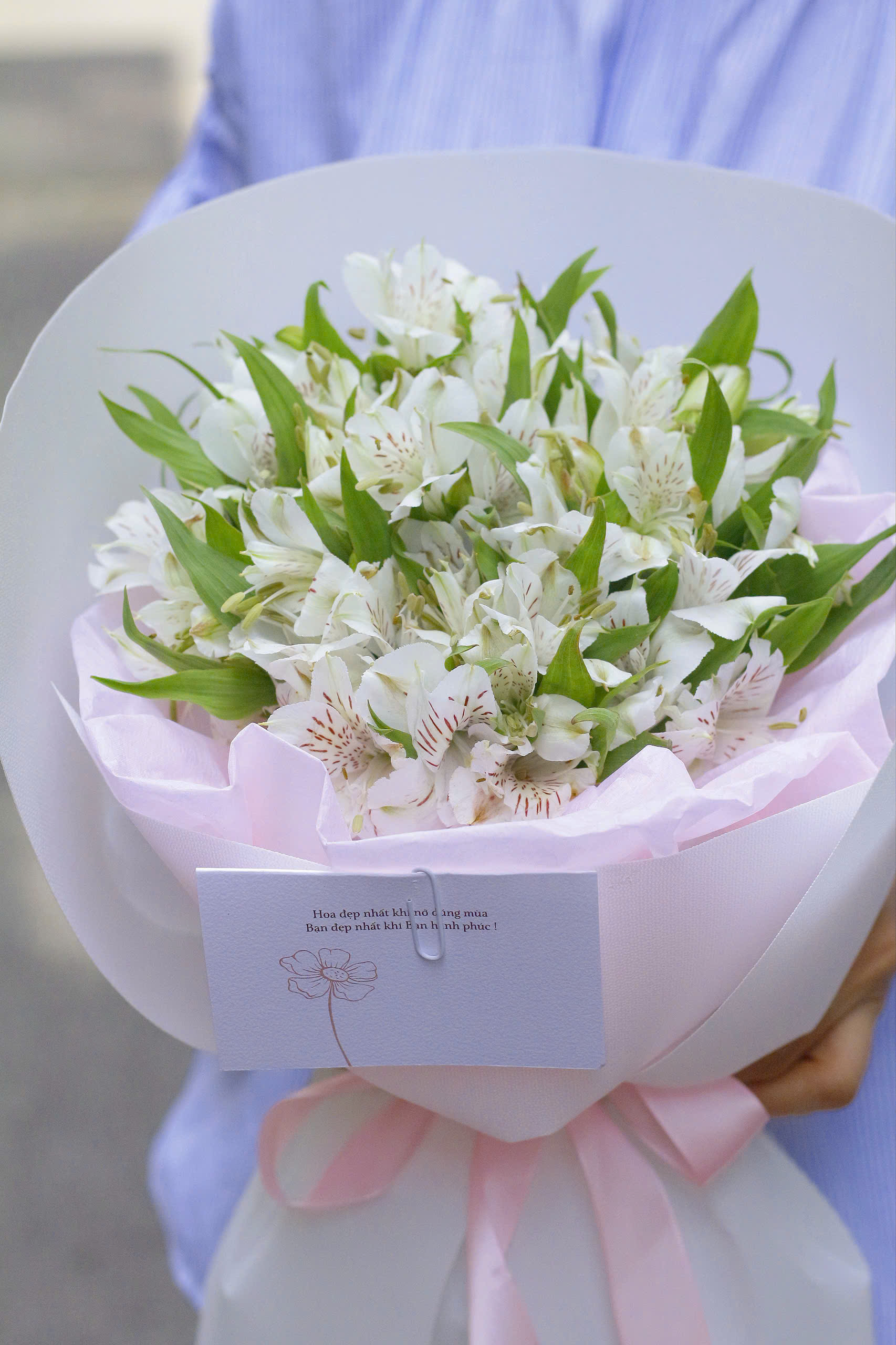 product-image-preview