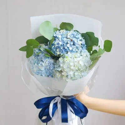 product-image-preview